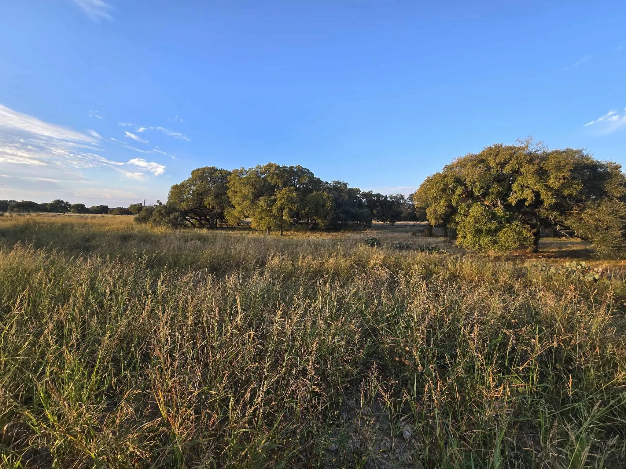 Unimproved Land For Sale in Coryell County , 317 Yellowstone Drive, Oglesby, Texas 76561, 0, 0, Garage spaces, 0 Sqft, built in 0, Price $180,000, mls#21271431, Real Estate Agent in Oglesby, Homes For Sale in Coryell county, Homes For Sale in Oglesby, Realtor in Oglesby Texas, Real Estate Brokerage Independent Realty Texas, Luminita Cordes Realtor