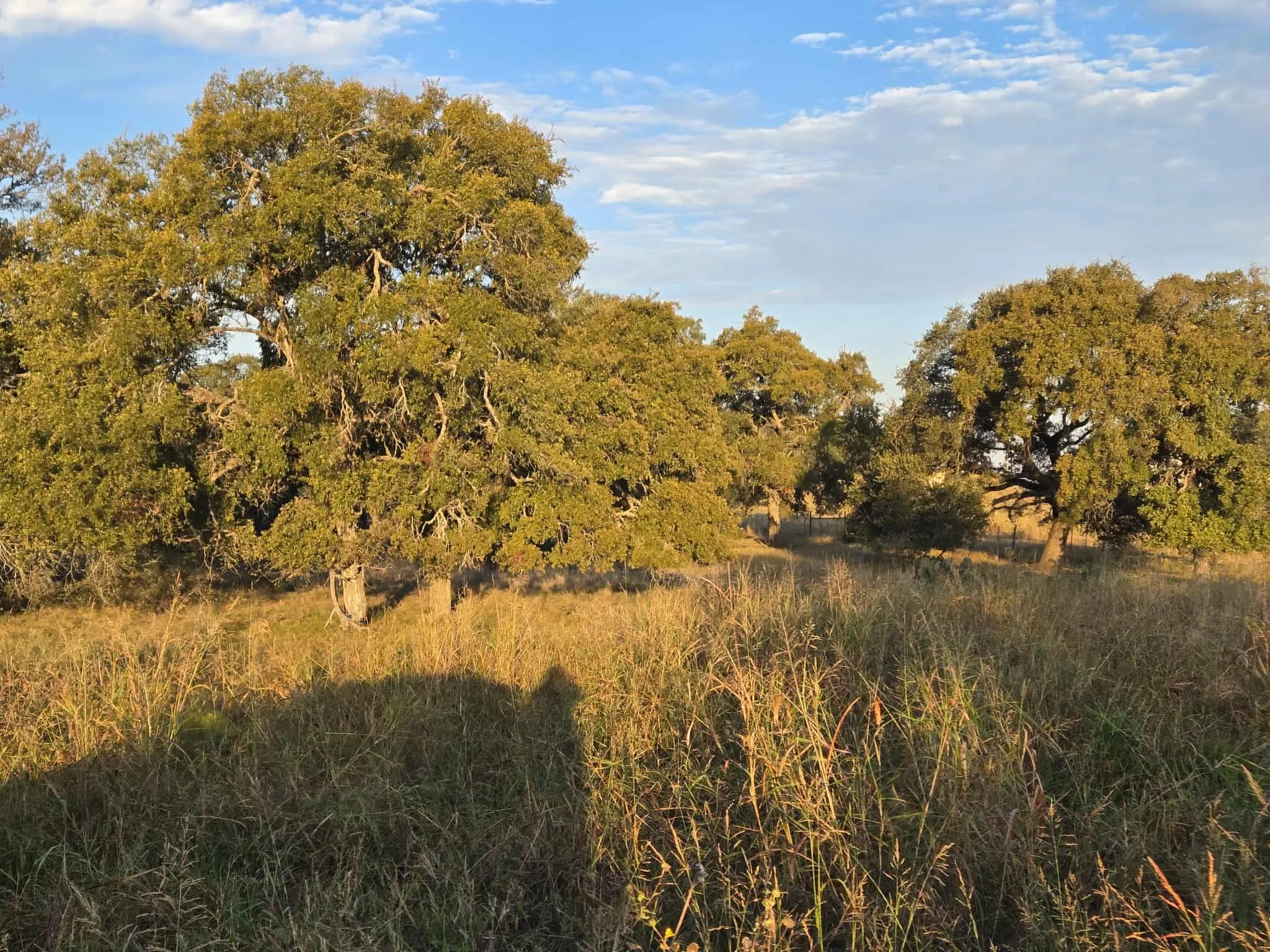 Unimproved Land For Sale in Coryell County , 317 Yellowstone Drive, Oglesby, Texas 76561, 0, 0, Garage spaces, 0 Sqft, built in 0, Price $180,000, mls#21271431, Real Estate Agent in Oglesby, Homes For Sale in Coryell county, Homes For Sale in Oglesby, Realtor in Oglesby Texas, Real Estate Brokerage Independent Realty Texas, Luminita Cordes Realtor