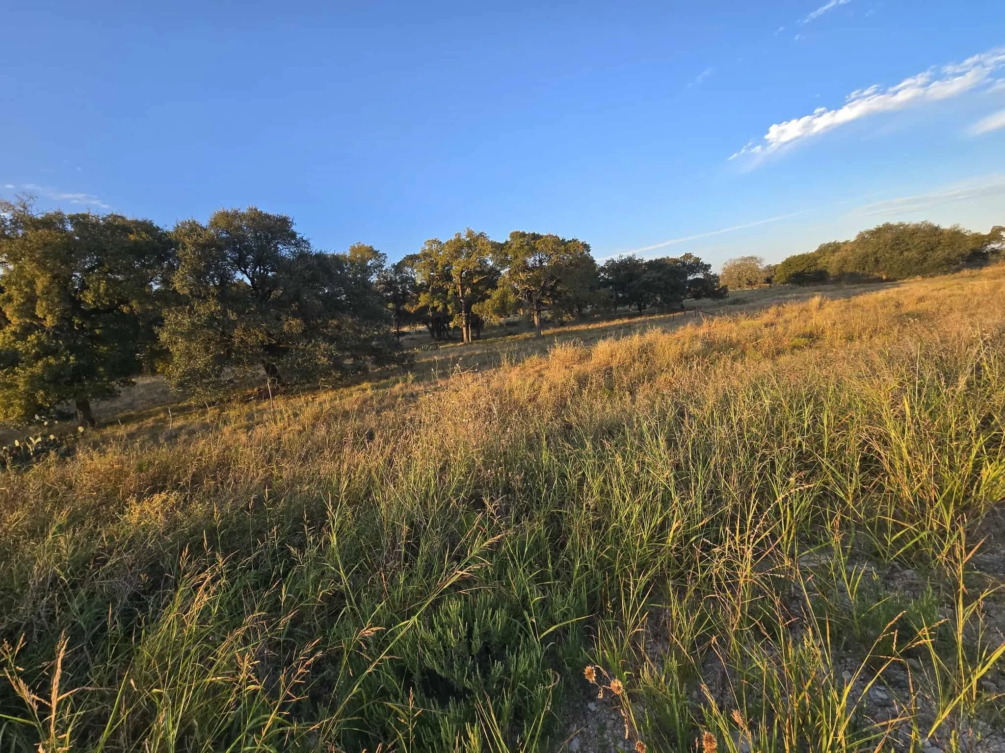 Unimproved Land For Sale in Coryell County , 317 Yellowstone Drive, Oglesby, Texas 76561, 0, 0, Garage spaces, 0 Sqft, built in 0, Price $180,000, mls#21271431, Real Estate Agent in Oglesby, Homes For Sale in Coryell county, Homes For Sale in Oglesby, Realtor in Oglesby Texas, Real Estate Brokerage Independent Realty Texas, Luminita Cordes Realtor