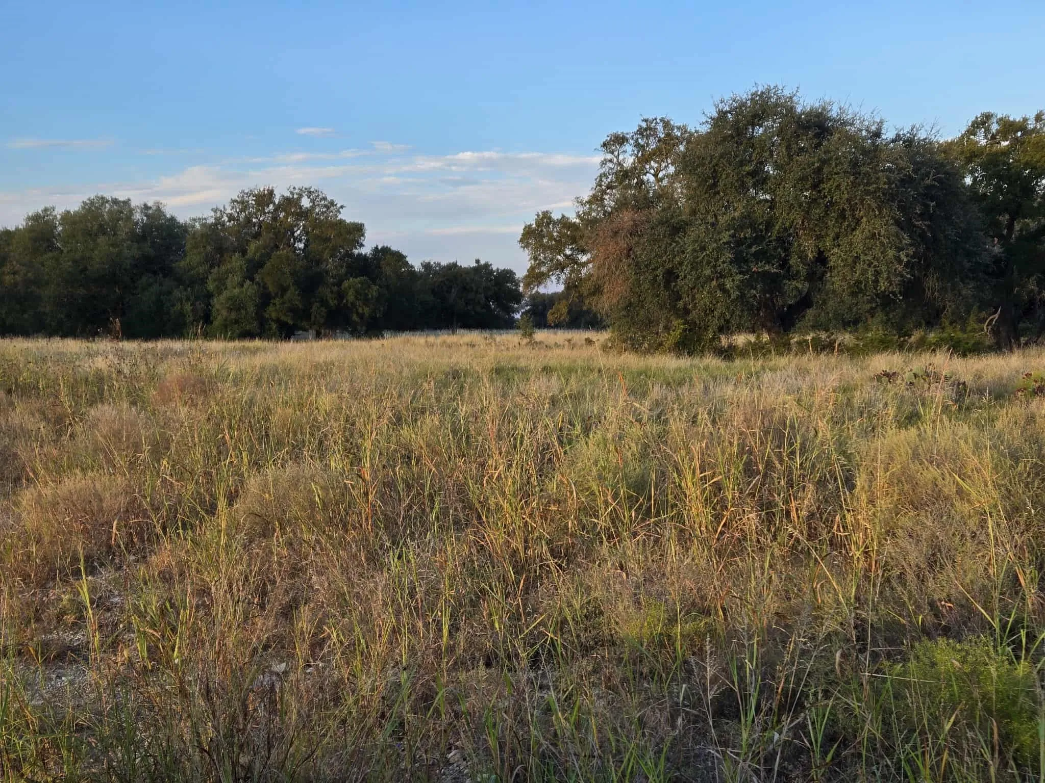 Unimproved Land For Sale in Coryell County , 317 Yellowstone Drive, Oglesby, Texas 76561, 0, 0, Garage spaces, 0 Sqft, built in 0, Price $180,000, mls#21271431, Real Estate Agent in Oglesby, Homes For Sale in Coryell county, Homes For Sale in Oglesby, Realtor in Oglesby Texas, Real Estate Brokerage Independent Realty Texas, Luminita Cordes Realtor