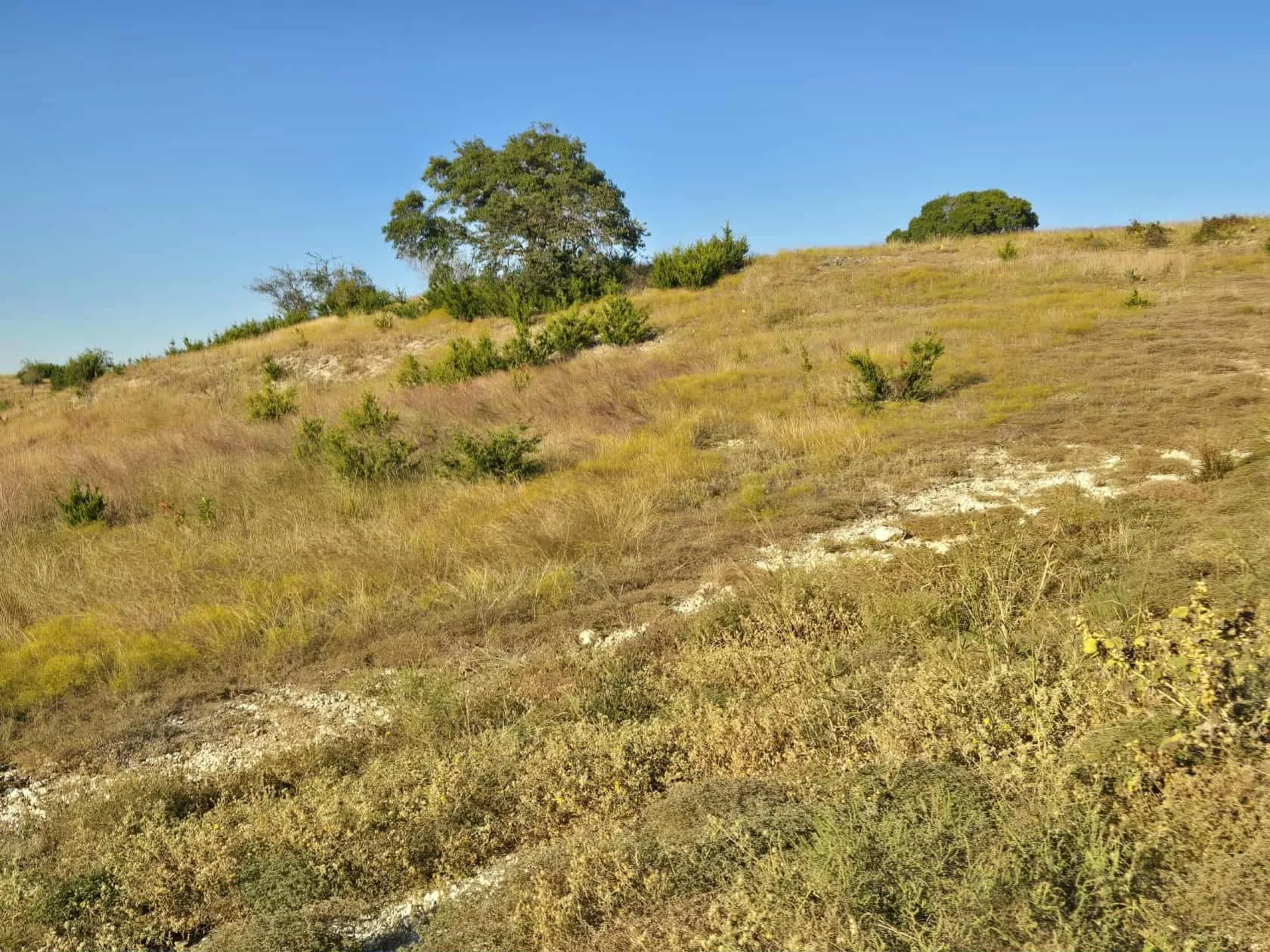 Unimproved Land For Sale in Coryell County , 229 Grand Canyon Drive, Oglesby, Texas 76561, 0, 0, Garage spaces, 0 Sqft, built in 0, Price $175,000, mls#21271441, Real Estate Agent in Oglesby, Homes For Sale in Coryell county, Homes For Sale in Oglesby, Realtor in Oglesby Texas, Real Estate Brokerage Independent Realty Texas, Luminita Cordes Realtor