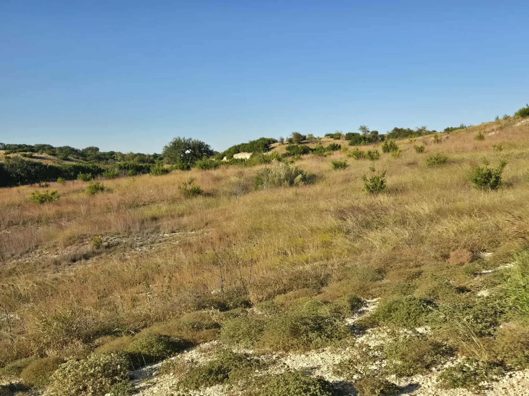 Unimproved Land For Sale in Coryell County , 229 Grand Canyon Drive, Oglesby, Texas 76561, 0, 0, Garage spaces, 0 Sqft, built in 0, Price $175,000, mls#21271441, Real Estate Agent in Oglesby, Homes For Sale in Coryell county, Homes For Sale in Oglesby, Realtor in Oglesby Texas, Real Estate Brokerage Independent Realty Texas, Luminita Cordes Realtor