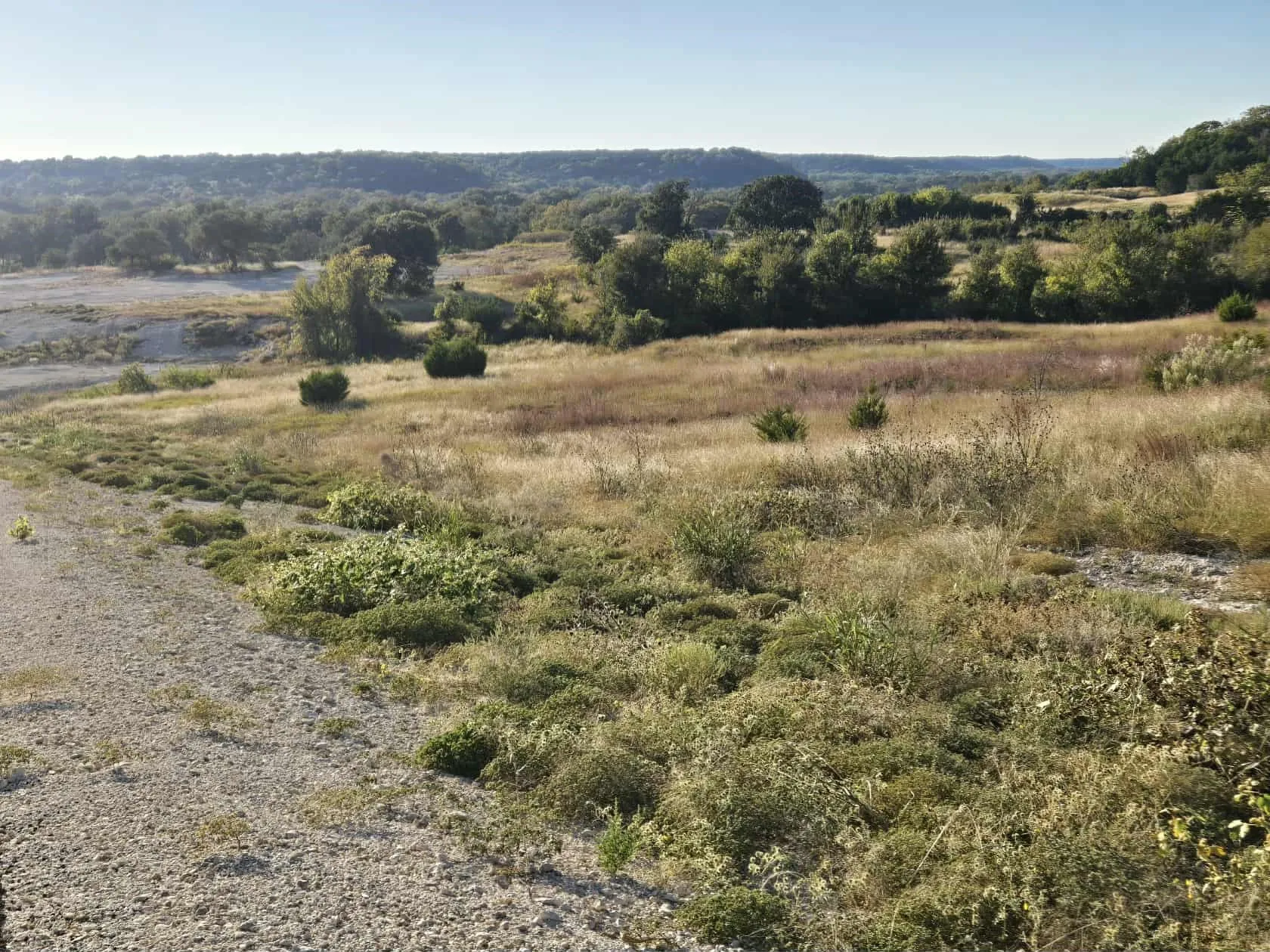 Unimproved Land For Sale in Coryell County , 229 Grand Canyon Drive, Oglesby, Texas 76561, 0, 0, Garage spaces, 0 Sqft, built in 0, Price $175,000, mls#21271441, Real Estate Agent in Oglesby, Homes For Sale in Coryell county, Homes For Sale in Oglesby, Realtor in Oglesby Texas, Real Estate Brokerage Independent Realty Texas, Luminita Cordes Realtor