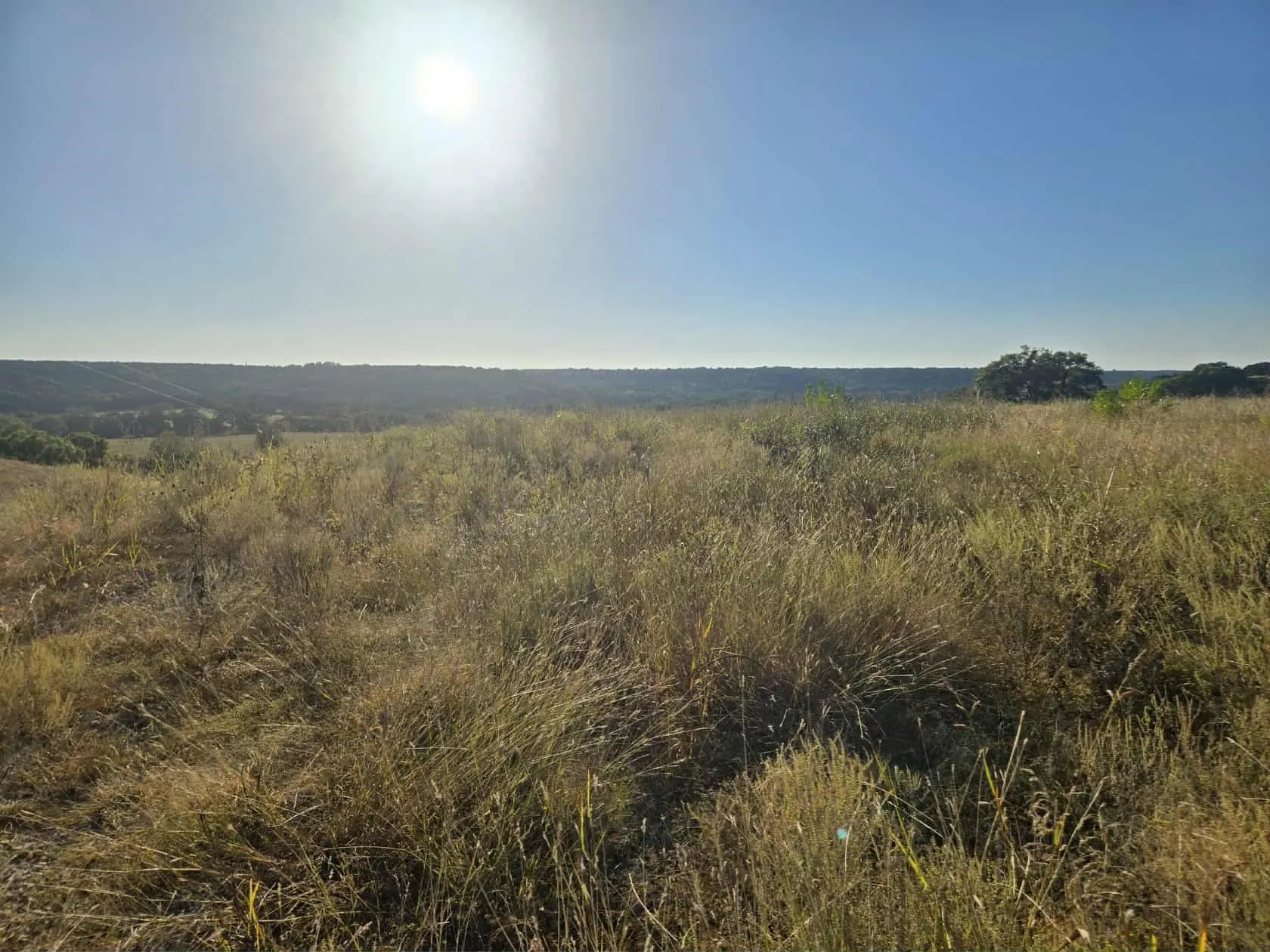 Unimproved Land For Sale in Coryell County , 229 Grand Canyon Drive, Oglesby, Texas 76561, 0, 0, Garage spaces, 0 Sqft, built in 0, Price $175,000, mls#21271441, Real Estate Agent in Oglesby, Homes For Sale in Coryell county, Homes For Sale in Oglesby, Realtor in Oglesby Texas, Real Estate Brokerage Independent Realty Texas, Luminita Cordes Realtor