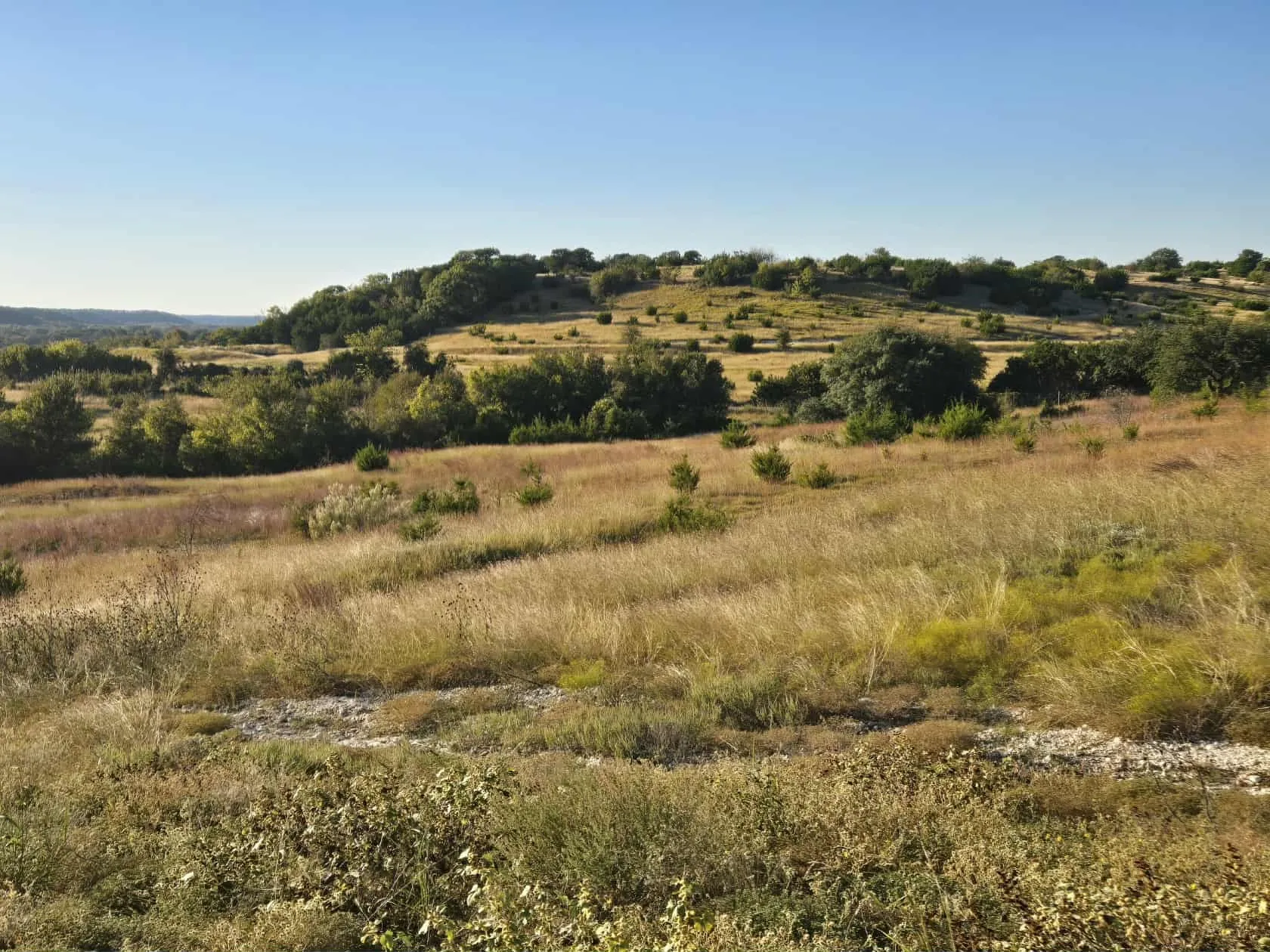 Unimproved Land For Sale in Coryell County , 229 Grand Canyon Drive, Oglesby, Texas 76561, 0, 0, Garage spaces, 0 Sqft, built in 0, Price $175,000, mls#21271441, Real Estate Agent in Oglesby, Homes For Sale in Coryell county, Homes For Sale in Oglesby, Realtor in Oglesby Texas, Real Estate Brokerage Independent Realty Texas, Luminita Cordes Realtor