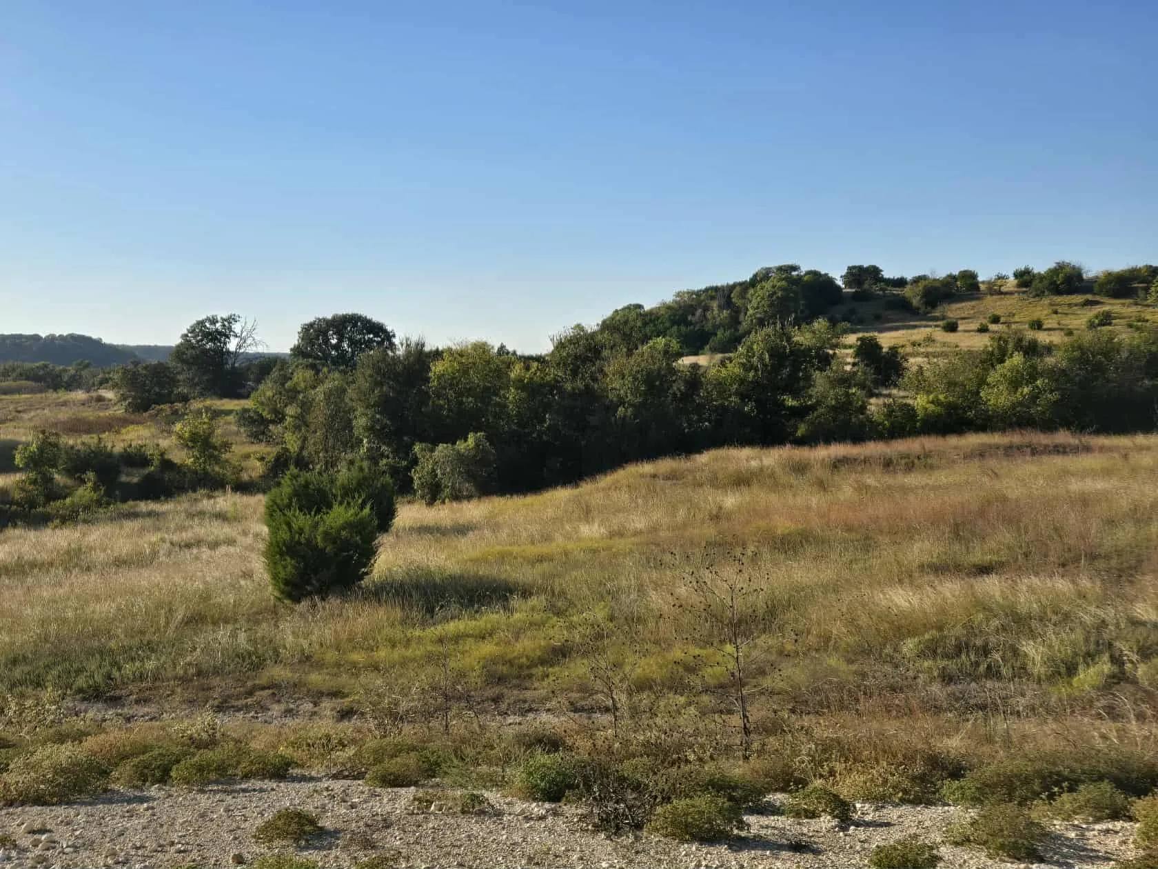 Unimproved Land For Sale in Coryell County , 229 Grand Canyon Drive, Oglesby, Texas 76561, 0, 0, Garage spaces, 0 Sqft, built in 0, Price $175,000, mls#21271441, Real Estate Agent in Oglesby, Homes For Sale in Coryell county, Homes For Sale in Oglesby, Realtor in Oglesby Texas, Real Estate Brokerage Independent Realty Texas, Luminita Cordes Realtor