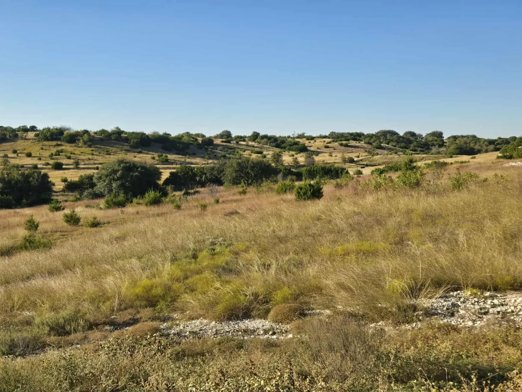 Unimproved Land For Sale in Coryell County , 229 Grand Canyon Drive, Oglesby, Texas 76561, 0, 0, Garage spaces, 0 Sqft, built in 0, Price $175,000, mls#21271441, Real Estate Agent in Oglesby, Homes For Sale in Coryell county, Homes For Sale in Oglesby, Realtor in Oglesby Texas, Real Estate Brokerage Independent Realty Texas, Luminita Cordes Realtor