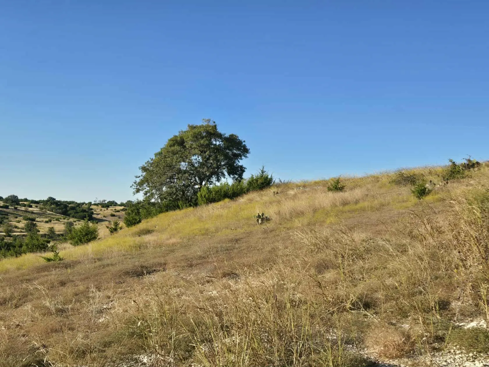 Unimproved Land For Sale in Coryell County , 229 Grand Canyon Drive, Oglesby, Texas 76561, 0, 0, Garage spaces, 0 Sqft, built in 0, Price $175,000, mls#21271441, Real Estate Agent in Oglesby, Homes For Sale in Coryell county, Homes For Sale in Oglesby, Realtor in Oglesby Texas, Real Estate Brokerage Independent Realty Texas, Luminita Cordes Realtor