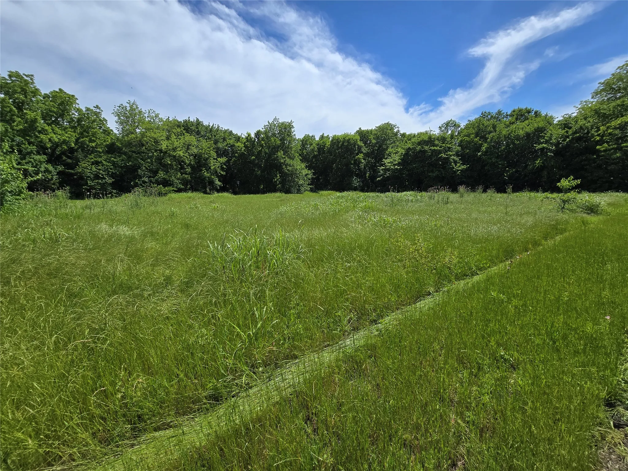 Unimproved Land For Sale in Collin County , TBD County Road 1039, Blue Ridge, Texas 75424, 0, 0, Garage spaces, 0 Sqft, built in 0, Price $649,000, mls#21271435, Real Estate Agent in Blue Ridge, Homes For Sale in Collin county, Homes For Sale in Blue Ridge, Realtor in Blue Ridge Texas, Real Estate Brokerage Independent Realty Texas, Luminita Cordes Realtor