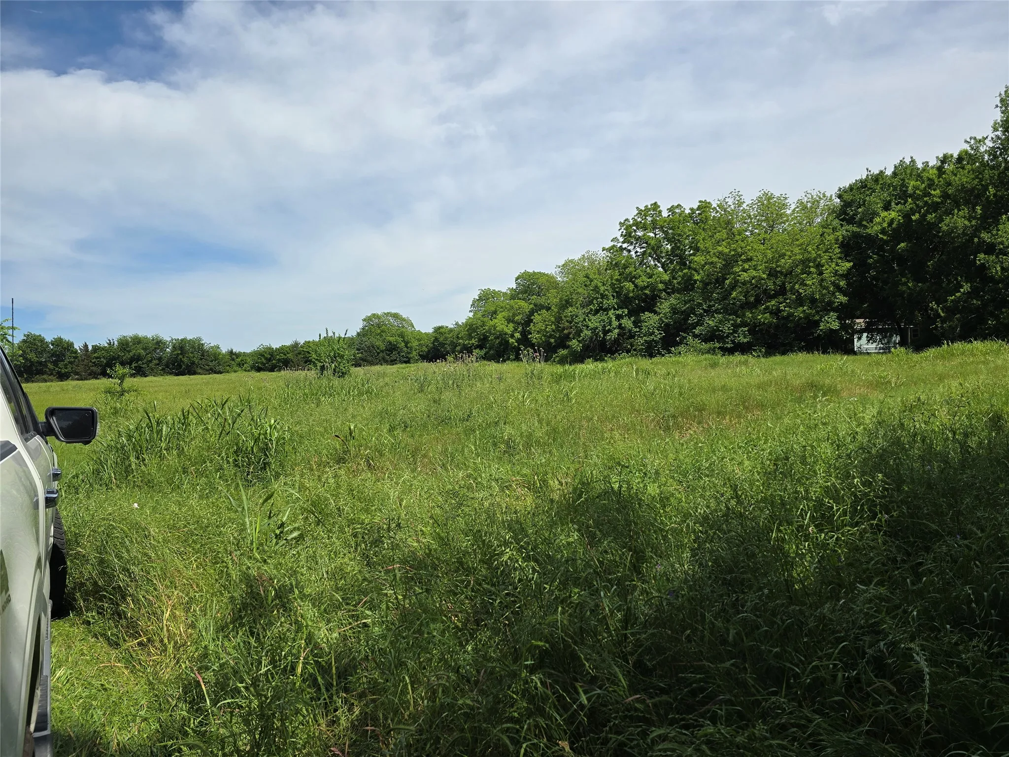 Unimproved Land For Sale in Collin County , TBD County Road 1039, Blue Ridge, Texas 75424, 0, 0, Garage spaces, 0 Sqft, built in 0, Price $649,000, mls#21271435, Real Estate Agent in Blue Ridge, Homes For Sale in Collin county, Homes For Sale in Blue Ridge, Realtor in Blue Ridge Texas, Real Estate Brokerage Independent Realty Texas, Luminita Cordes Realtor