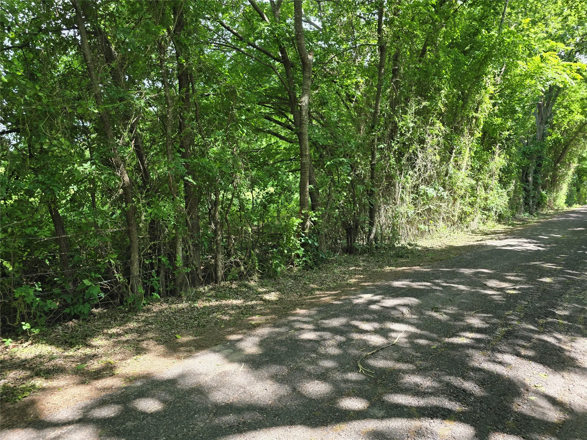 Unimproved Land For Sale in Collin County , TBD County Road 1039, Blue Ridge, Texas 75424, 0, 0, Garage spaces, 0 Sqft, built in 0, Price $649,000, mls#21271435, Real Estate Agent in Blue Ridge, Homes For Sale in Collin county, Homes For Sale in Blue Ridge, Realtor in Blue Ridge Texas, Real Estate Brokerage Independent Realty Texas, Luminita Cordes Realtor
