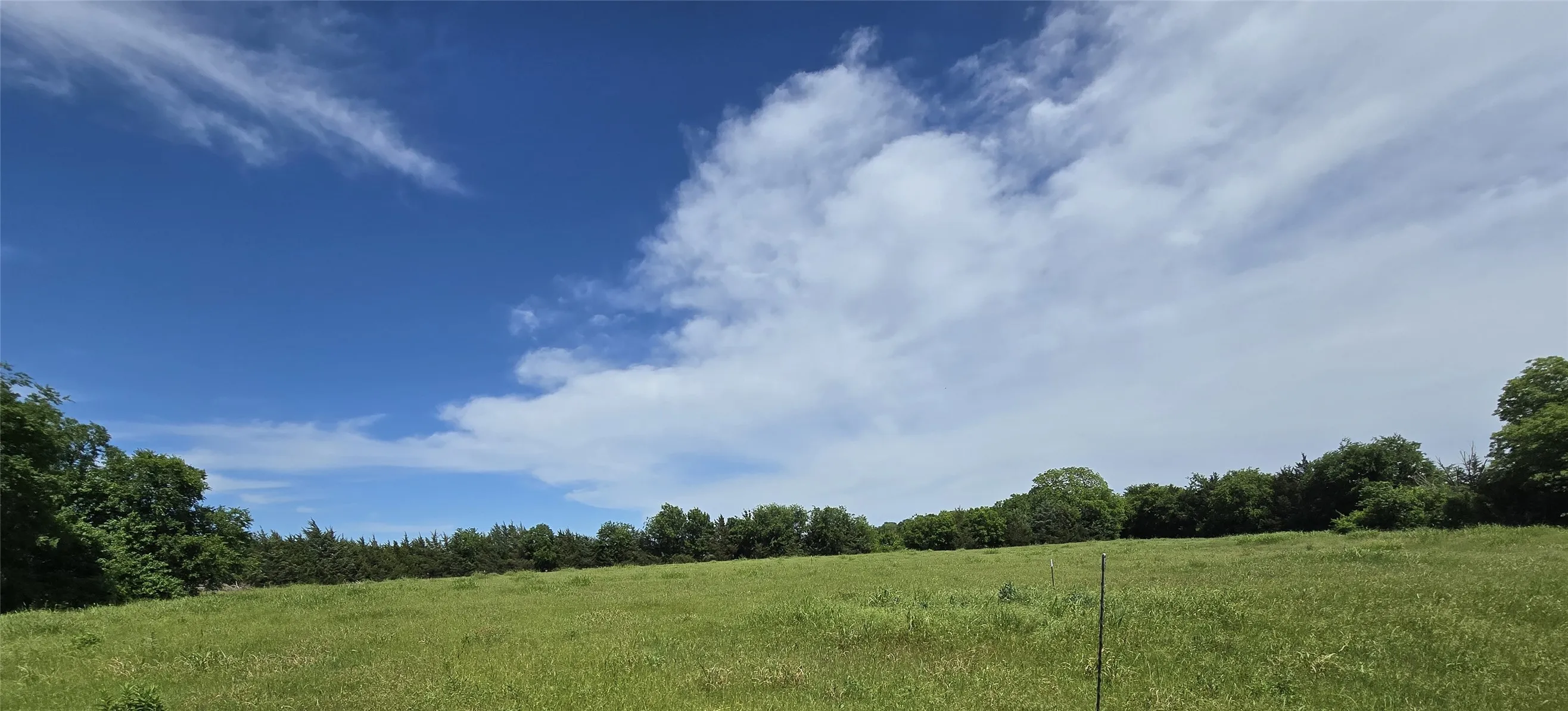 Unimproved Land For Sale in Collin County , TBD County Road 1039, Blue Ridge, Texas 75424, 0, 0, Garage spaces, 0 Sqft, built in 0, Price $649,000, mls#21271435, Real Estate Agent in Blue Ridge, Homes For Sale in Collin county, Homes For Sale in Blue Ridge, Realtor in Blue Ridge Texas, Real Estate Brokerage Independent Realty Texas, Luminita Cordes Realtor