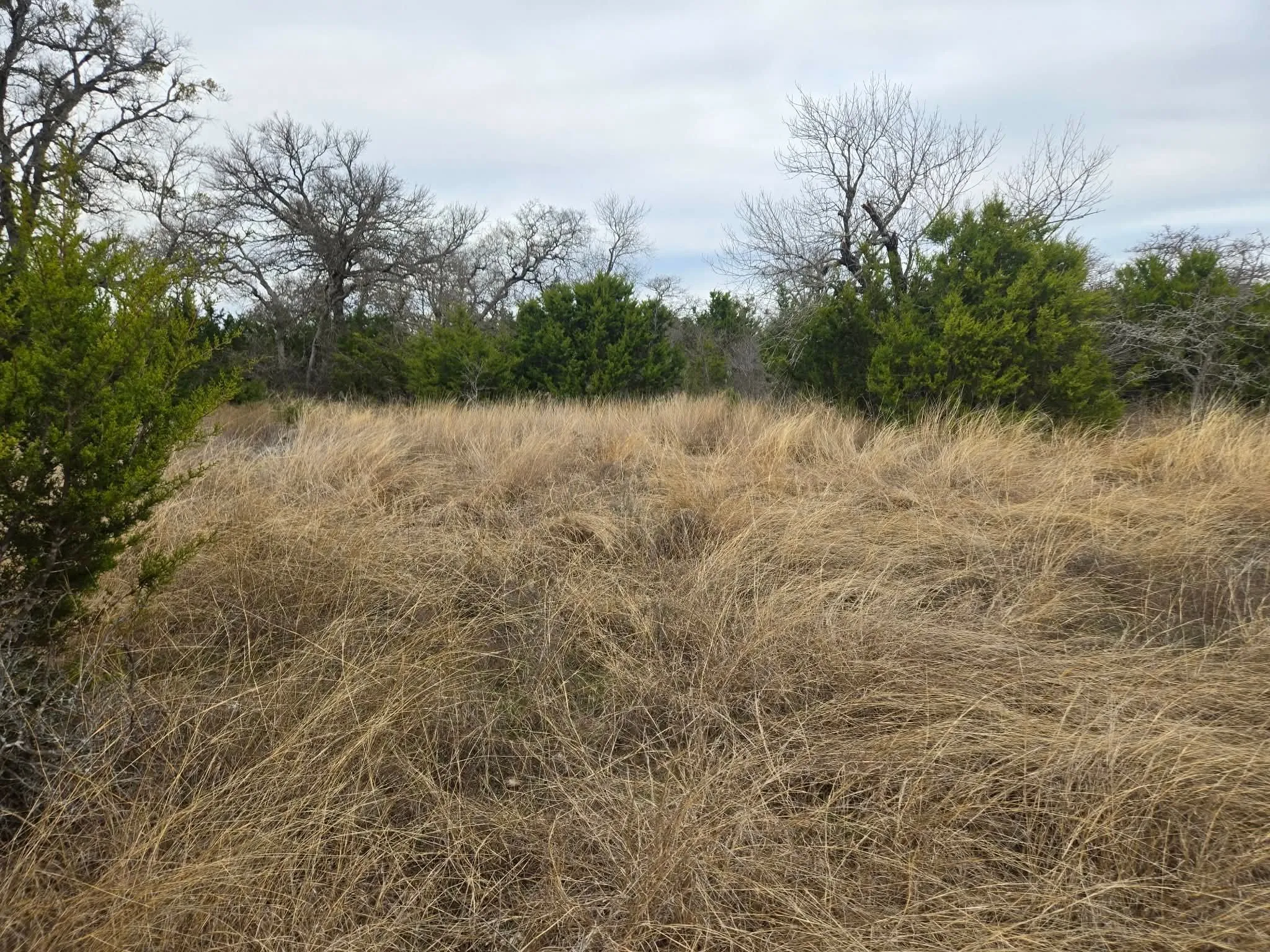 Unimproved Land For Sale in Coryell County , 134 Yellowstone Drive, Oglesby, Texas 76561, 0, 0, Garage spaces, 0 Sqft, built in 0, Price $179,900, mls#21271451, Real Estate Agent in Oglesby, Homes For Sale in Coryell county, Homes For Sale in Oglesby, Realtor in Oglesby Texas, Real Estate Brokerage Independent Realty Texas, Luminita Cordes Realtor