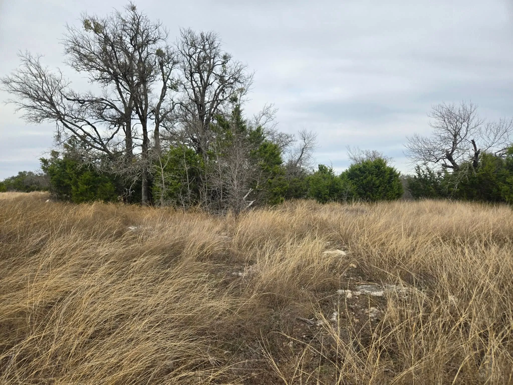Unimproved Land For Sale in Coryell County , 134 Yellowstone Drive, Oglesby, Texas 76561, 0, 0, Garage spaces, 0 Sqft, built in 0, Price $179,900, mls#21271451, Real Estate Agent in Oglesby, Homes For Sale in Coryell county, Homes For Sale in Oglesby, Realtor in Oglesby Texas, Real Estate Brokerage Independent Realty Texas, Luminita Cordes Realtor