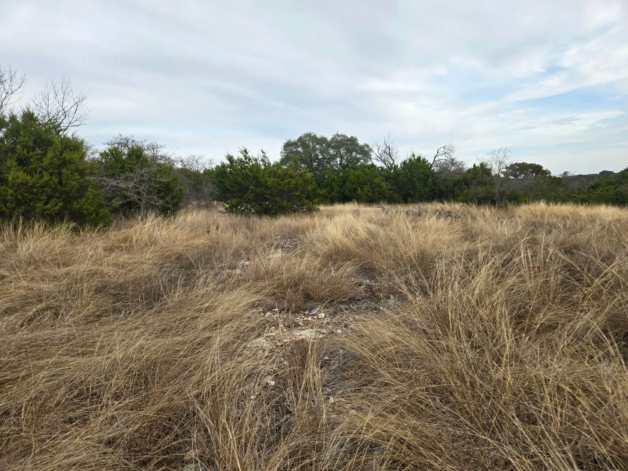 Unimproved Land For Sale in Coryell County , 134 Yellowstone Drive, Oglesby, Texas 76561, 0, 0, Garage spaces, 0 Sqft, built in 0, Price $179,900, mls#21271451, Real Estate Agent in Oglesby, Homes For Sale in Coryell county, Homes For Sale in Oglesby, Realtor in Oglesby Texas, Real Estate Brokerage Independent Realty Texas, Luminita Cordes Realtor