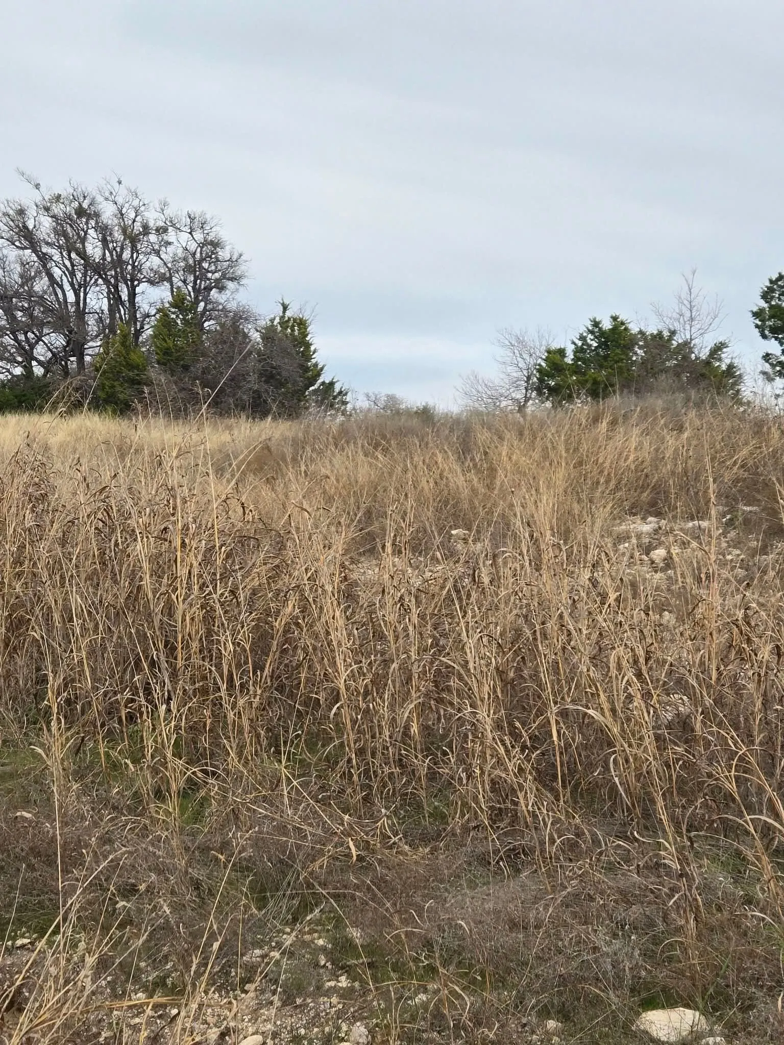 Unimproved Land For Sale in Coryell County , 134 Yellowstone Drive, Oglesby, Texas 76561, 0, 0, Garage spaces, 0 Sqft, built in 0, Price $179,900, mls#21271451, Real Estate Agent in Oglesby, Homes For Sale in Coryell county, Homes For Sale in Oglesby, Realtor in Oglesby Texas, Real Estate Brokerage Independent Realty Texas, Luminita Cordes Realtor