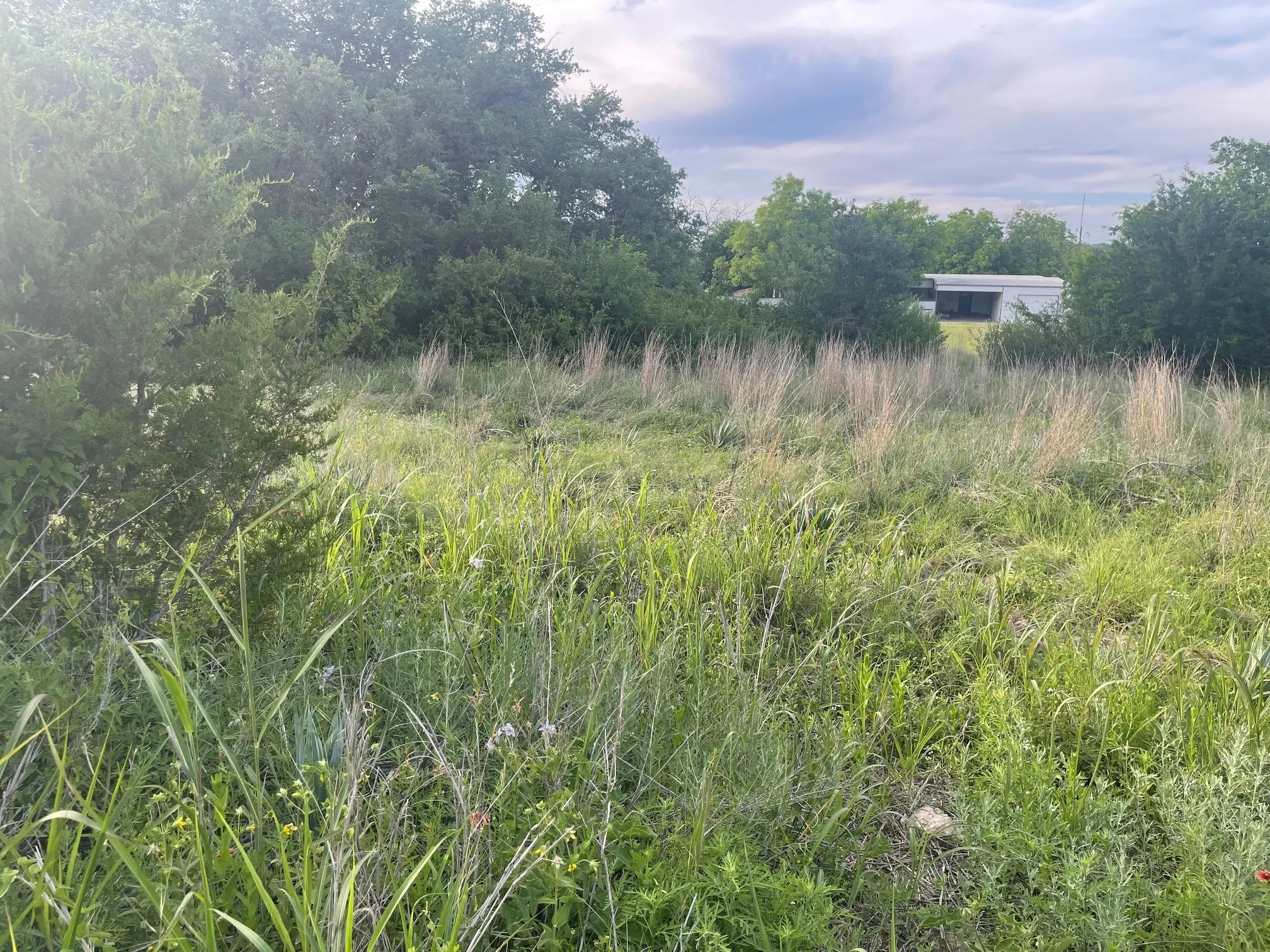 Expansive green space featuring natural vegetation and mature trees, offering a secluded environment