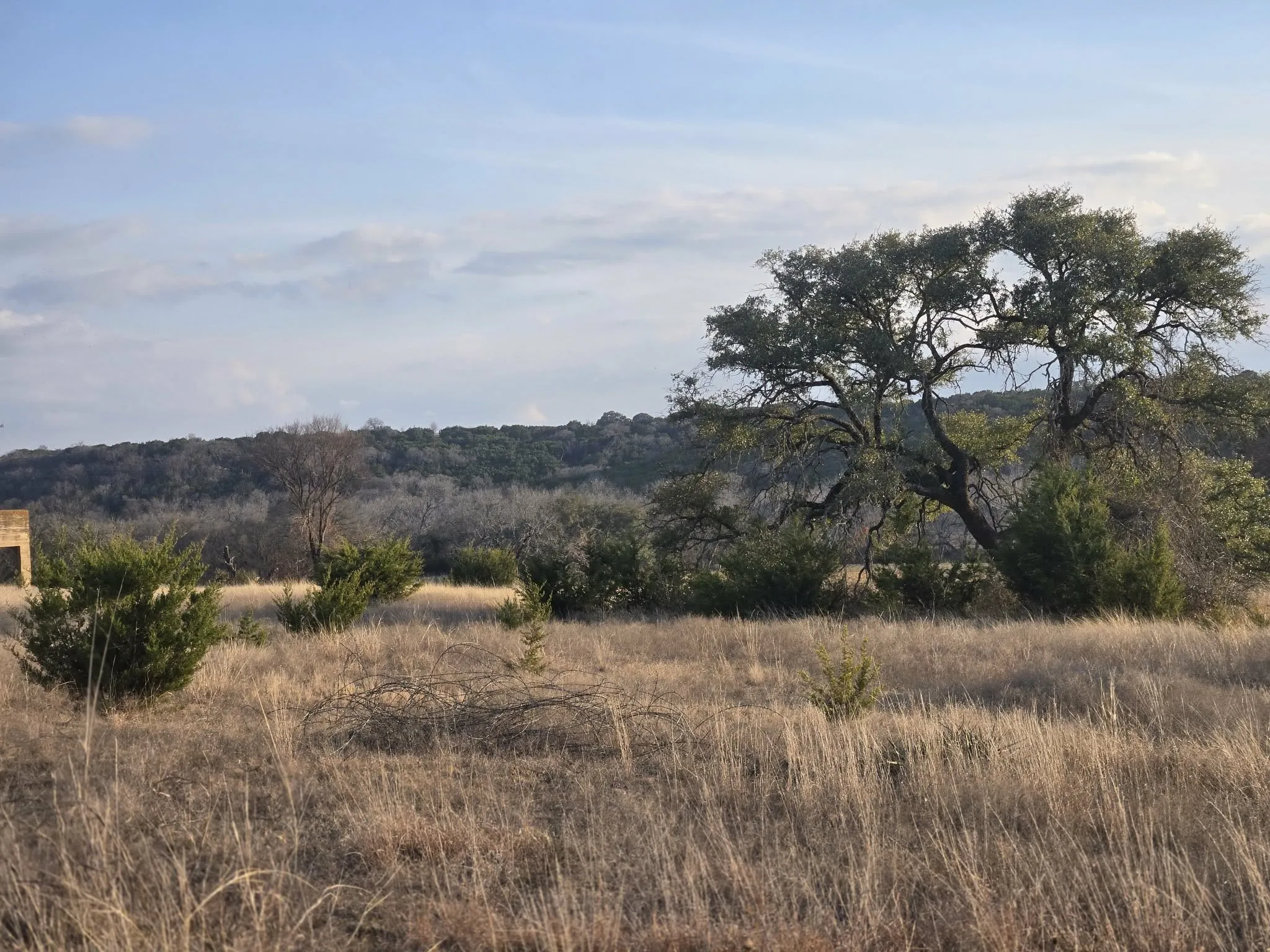 Unimproved Land For Sale in Coryell County , 205 Grand Canyon Drive, Oglesby, Texas 76561, 0, 0, Garage spaces, 0 Sqft, built in 0, Price $125,000, mls#21271461, Real Estate Agent in Oglesby, Homes For Sale in Coryell county, Homes For Sale in Oglesby, Realtor in Oglesby Texas, Real Estate Brokerage Independent Realty Texas, Luminita Cordes Realtor