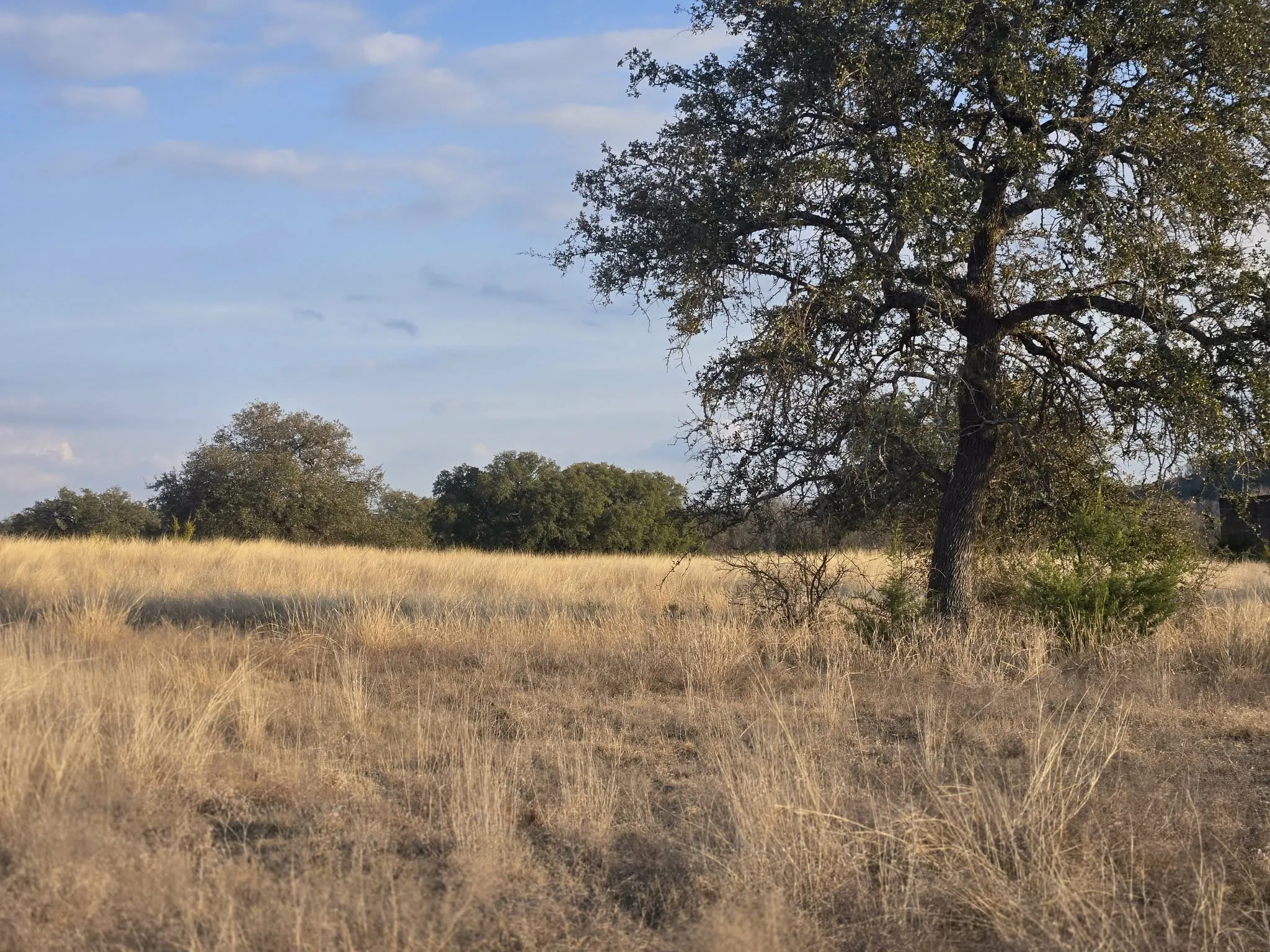 Unimproved Land For Sale in Coryell County , 205 Grand Canyon Drive, Oglesby, Texas 76561, 0, 0, Garage spaces, 0 Sqft, built in 0, Price $125,000, mls#21271461, Real Estate Agent in Oglesby, Homes For Sale in Coryell county, Homes For Sale in Oglesby, Realtor in Oglesby Texas, Real Estate Brokerage Independent Realty Texas, Luminita Cordes Realtor