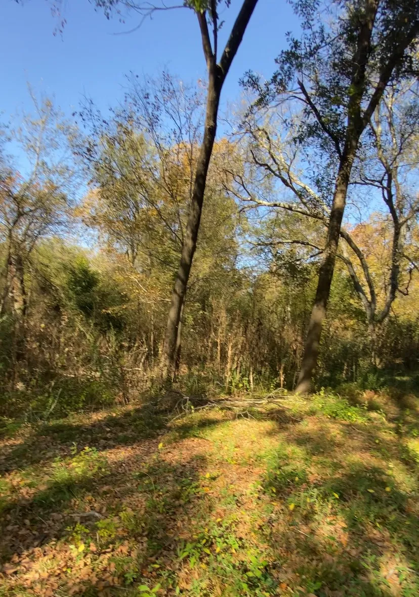 Single Family Residence For Sale in Henderson County , 11543 st Hwy 19 N, Athens, Texas 75752, 4 Bedroom, 2 Bathroom, Garage spaces, 1,512 Sqft, built in 1951, mls#21265425, Real Estate Agent in Athens, Homes For Sale in Henderson county, Homes For Sale in Athens, Realtor in Athens Texas, Real Estate Brokerage Independent Realty Texas, Luminita Cordes Realtor