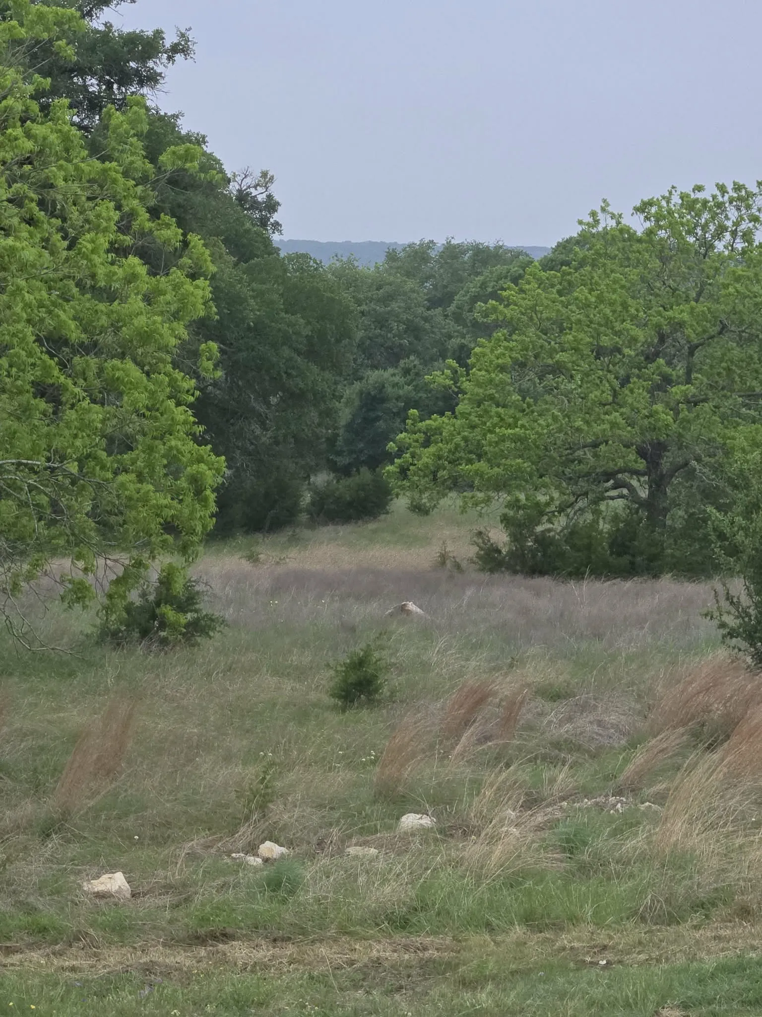 Unimproved Land For Sale in Coryell County , TBD Yosemite Drive, Oglesby, Texas 76561, 0, 0, Garage spaces, 0 Sqft, built in 0, Price $164,900, mls#21271471, Real Estate Agent in Oglesby, Homes For Sale in Coryell county, Homes For Sale in Oglesby, Realtor in Oglesby Texas, Real Estate Brokerage Independent Realty Texas, Luminita Cordes Realtor