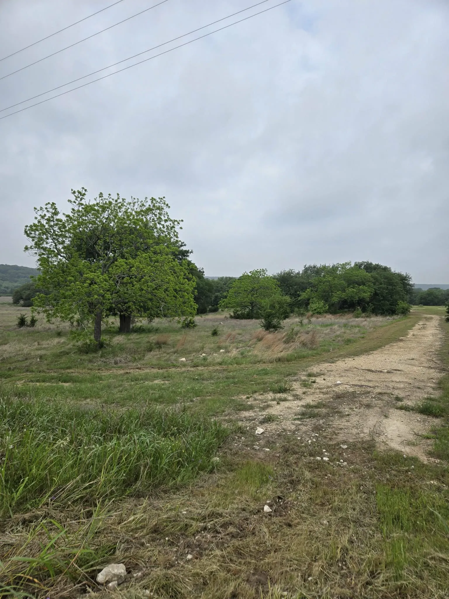Unimproved Land For Sale in Coryell County , TBD Yosemite Drive, Oglesby, Texas 76561, 0, 0, Garage spaces, 0 Sqft, built in 0, Price $164,900, mls#21271471, Real Estate Agent in Oglesby, Homes For Sale in Coryell county, Homes For Sale in Oglesby, Realtor in Oglesby Texas, Real Estate Brokerage Independent Realty Texas, Luminita Cordes Realtor
