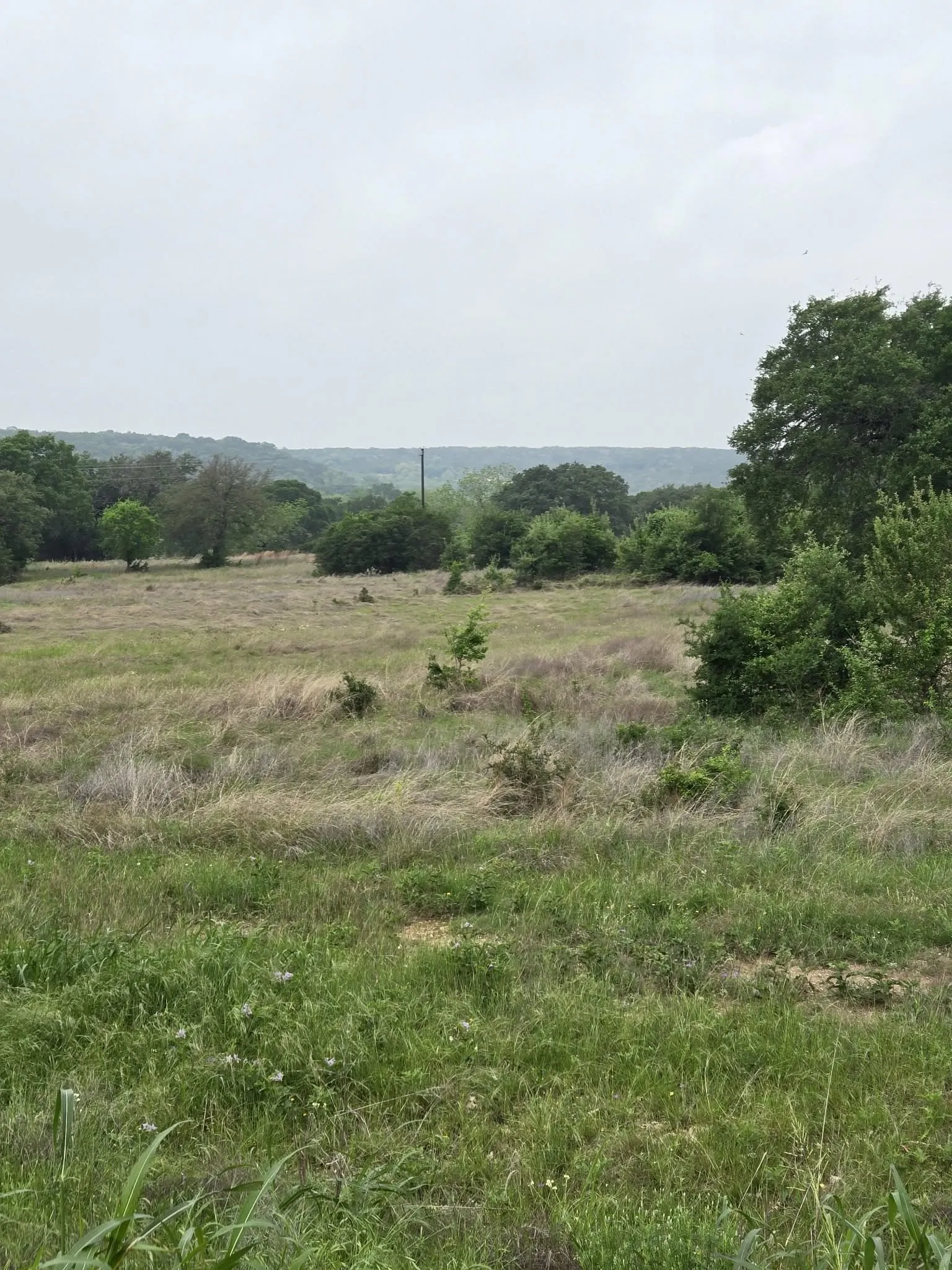 Unimproved Land For Sale in Coryell County , TBD Yosemite Drive, Oglesby, Texas 76561, 0, 0, Garage spaces, 0 Sqft, built in 0, Price $164,900, mls#21271471, Real Estate Agent in Oglesby, Homes For Sale in Coryell county, Homes For Sale in Oglesby, Realtor in Oglesby Texas, Real Estate Brokerage Independent Realty Texas, Luminita Cordes Realtor