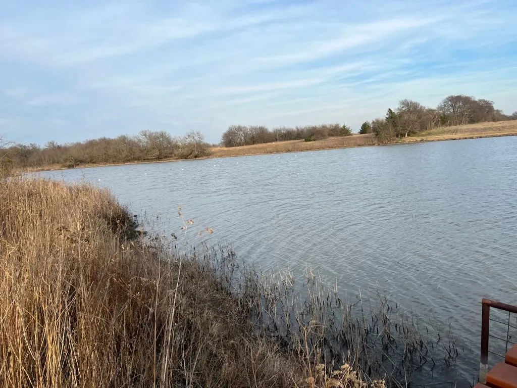 Unimproved Land For Sale