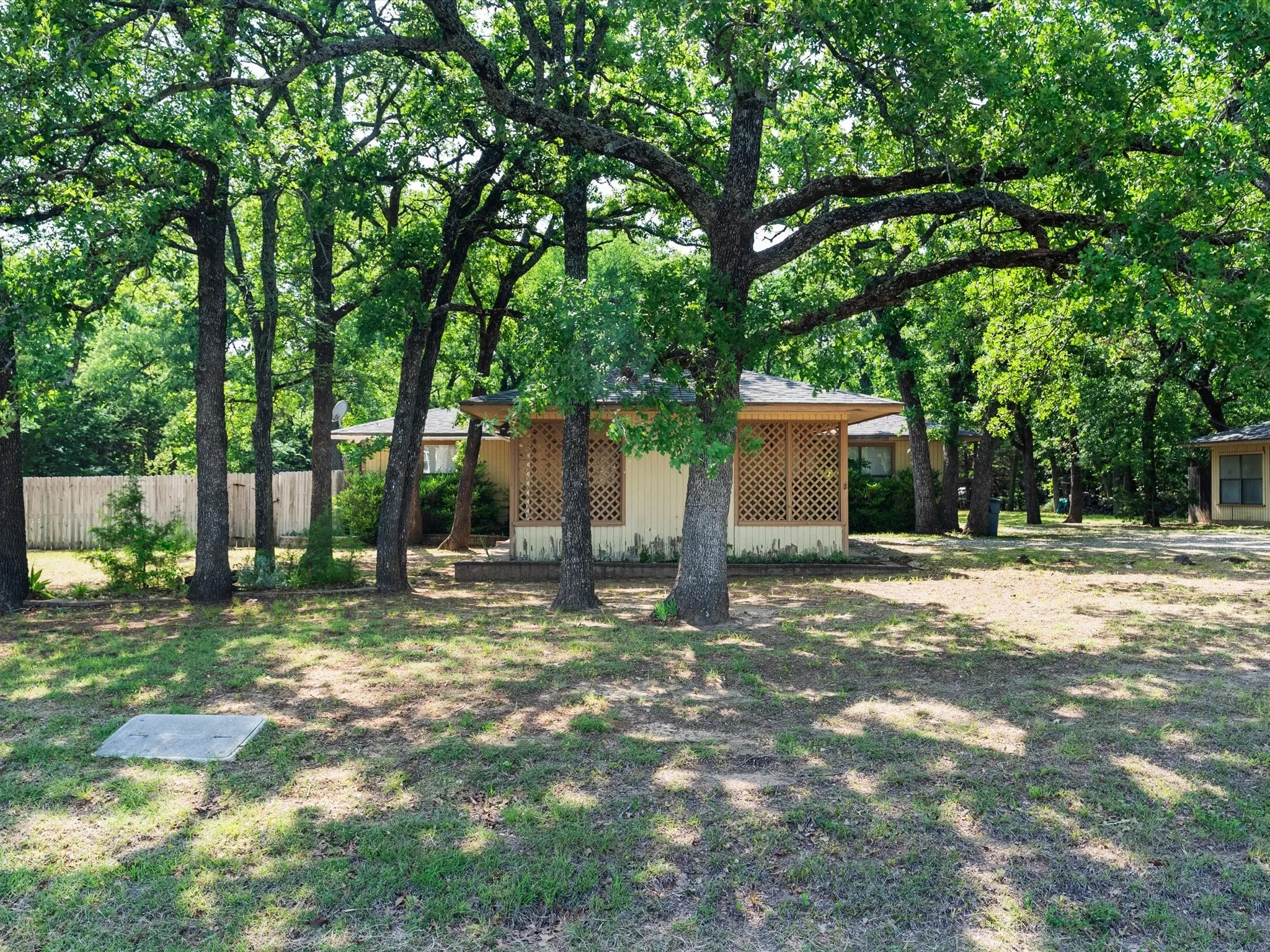 Tall, mature trees surrounding the property