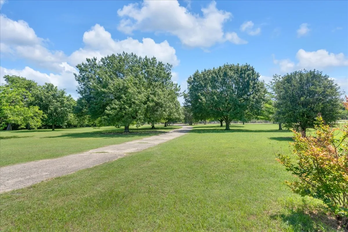View of the drive way leading from the house