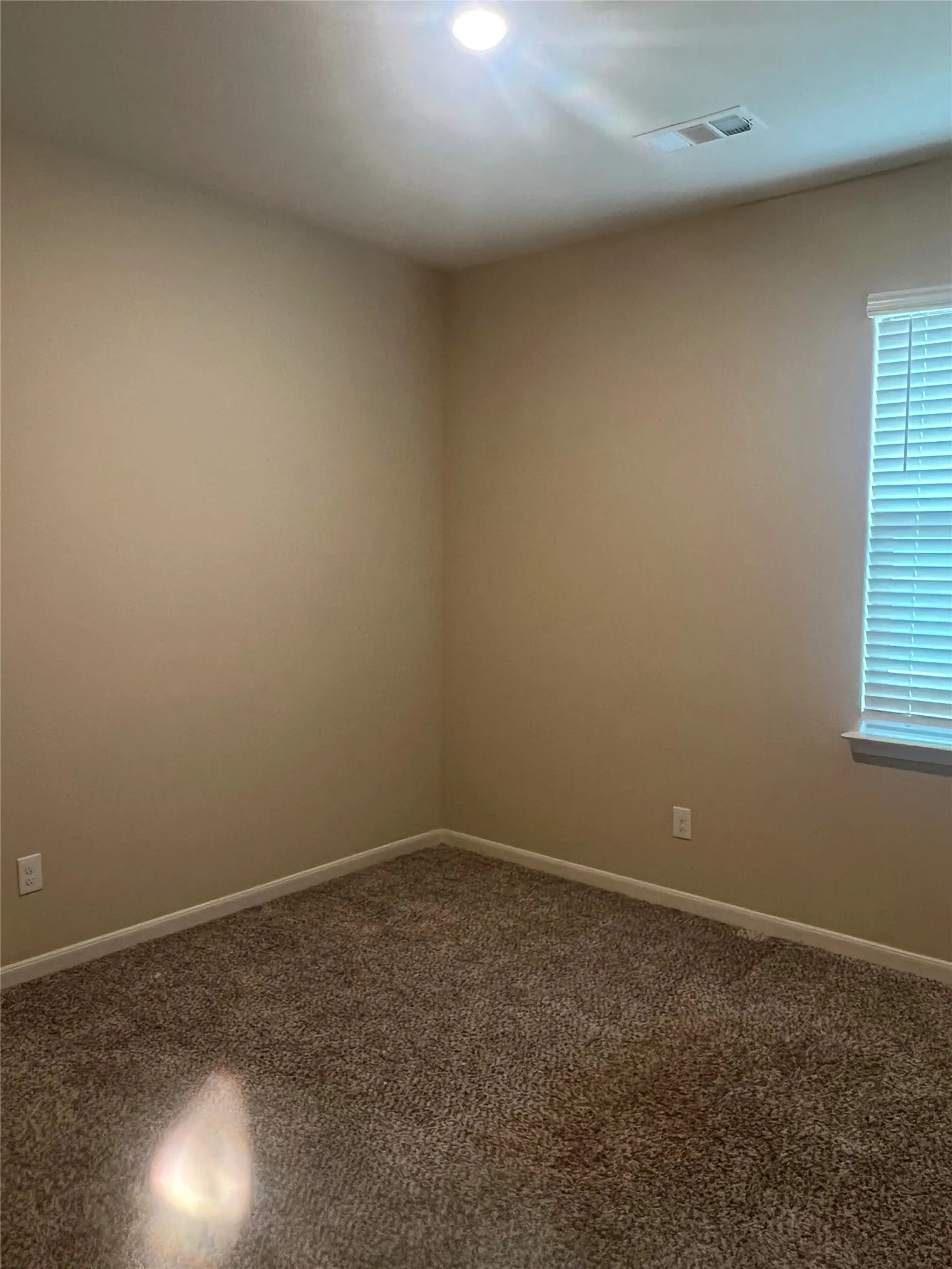 Neutral-toned walls complement the carpeted flooring