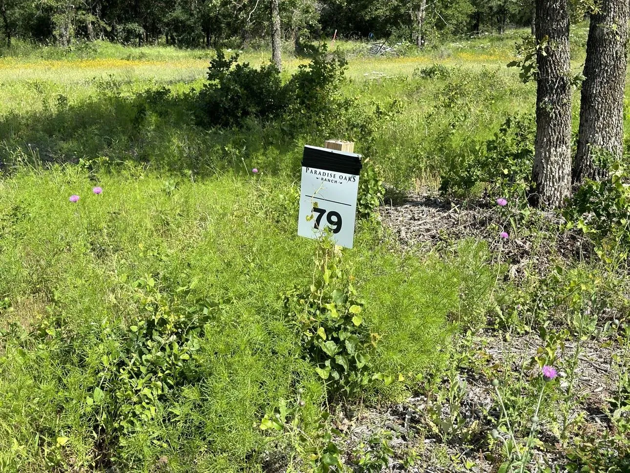 Beautiful Lot No. 79