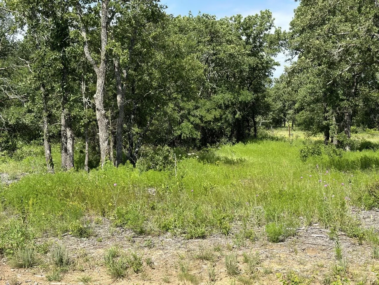 Great location to build your home