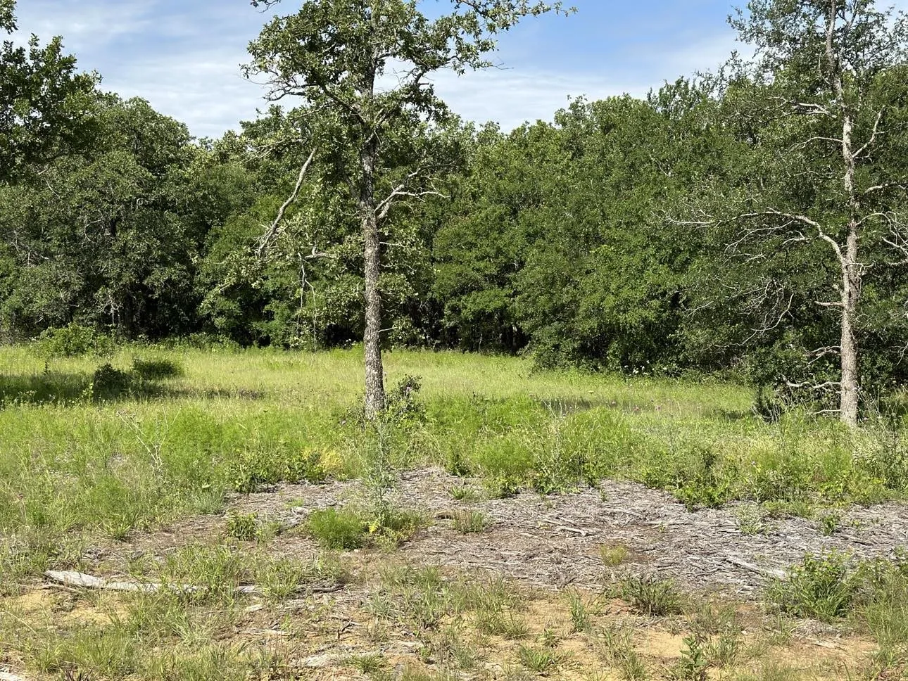 Another great location to build