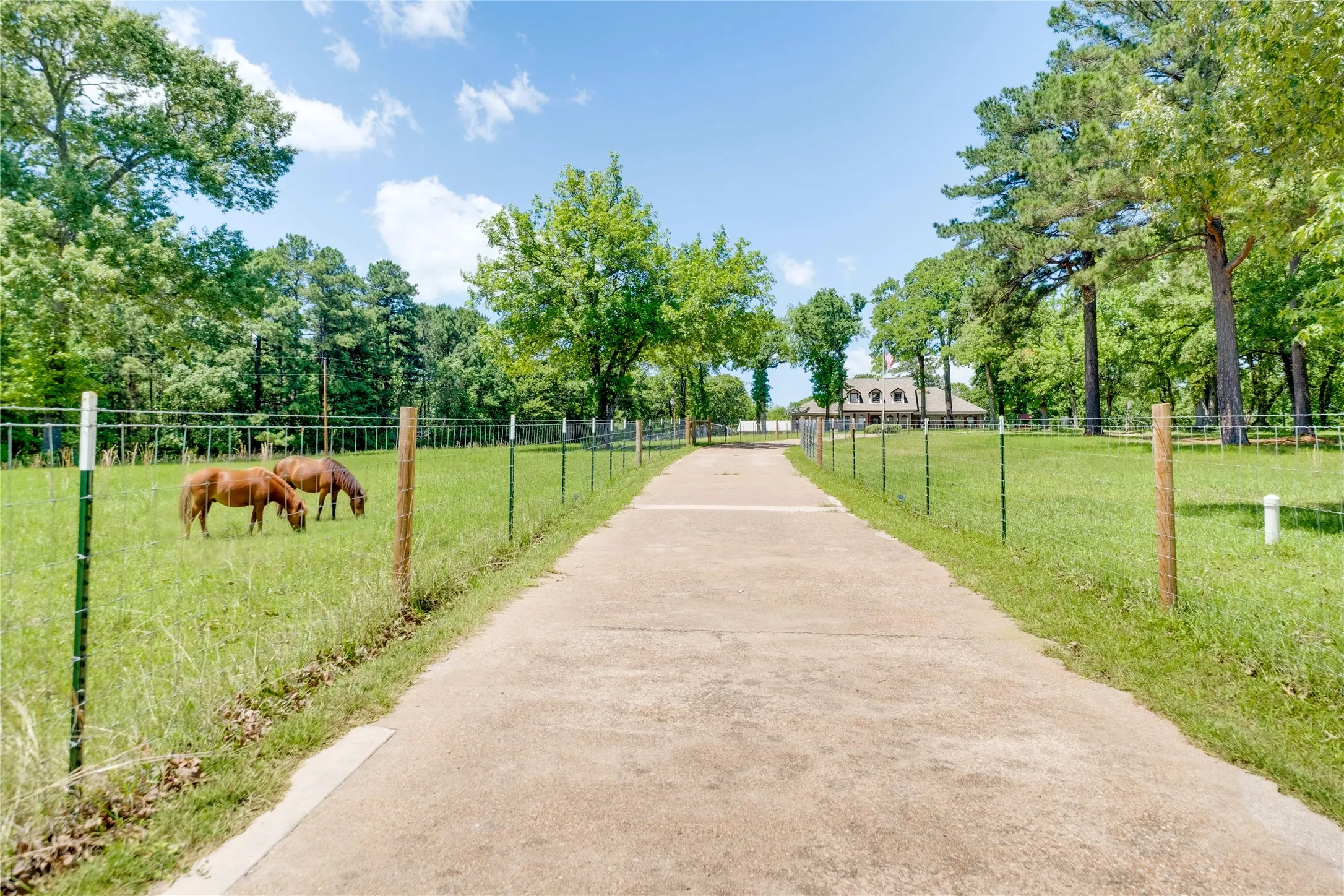 Farm For Sale in Anderson County , 231 An County Road 2105, Palestine, Texas 75801, 3 Bedroom, 3 Bathroom, 2 Garage spaces, 3,355 Sqft, built in 1994, mls#21261041, Real Estate Agent in Palestine, Homes For Sale in Anderson county, Homes For Sale in Palestine, Realtor in Palestine Texas, Real Estate Brokerage Independent Realty Texas, Luminita Cordes Realtor