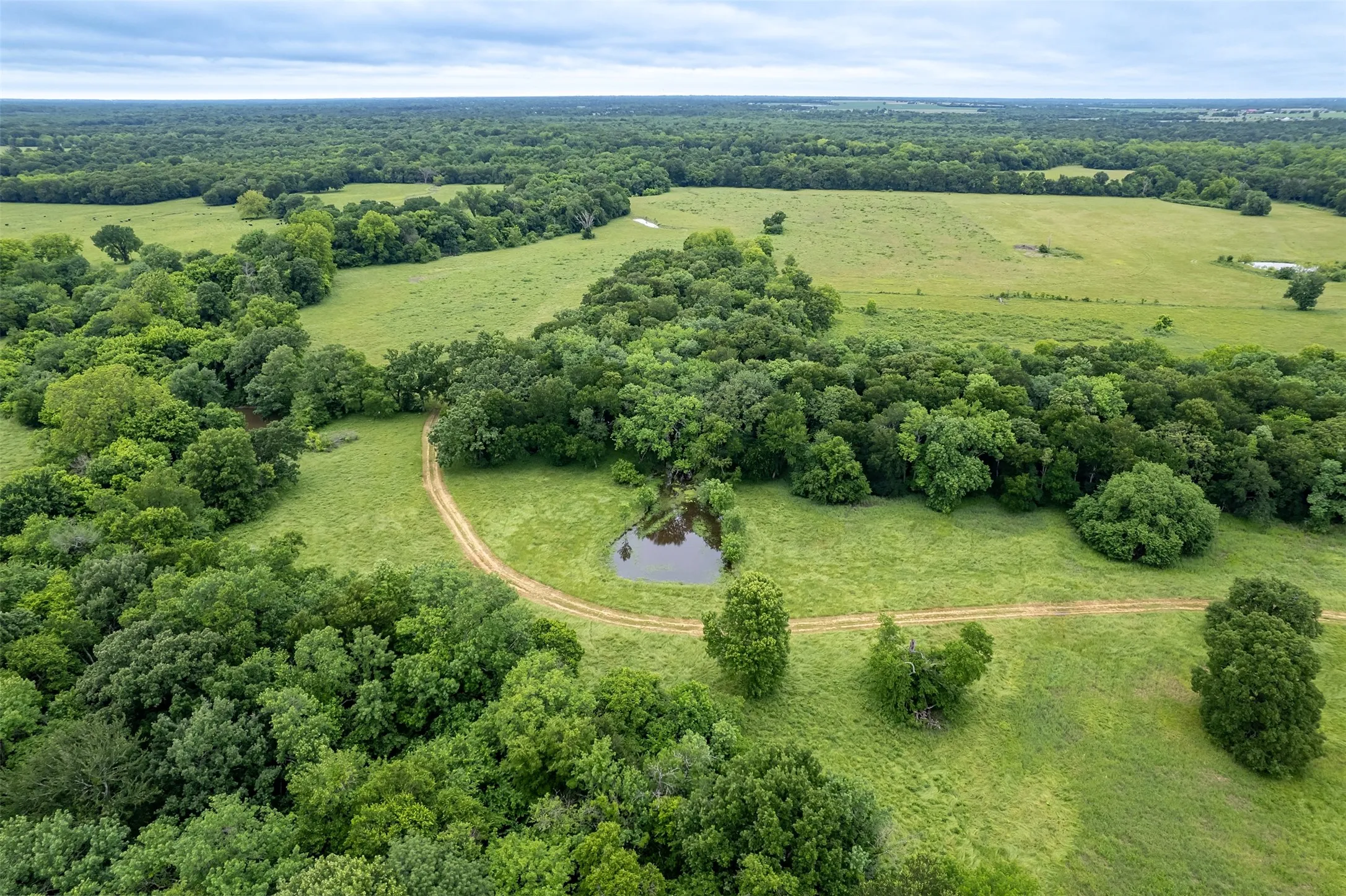 Unimproved Land For Sale in Hunt County , 5286 County Road 4502, Wolfe City, Texas 75496, 0, 0, Garage spaces, 0 Sqft, built in 0, Price $1,165,000, mls#21268039, Real Estate Agent in Wolfe City, Homes For Sale in Hunt county, Homes For Sale in Wolfe City, Realtor in Wolfe City Texas, Real Estate Brokerage Independent Realty Texas, Luminita Cordes Realtor