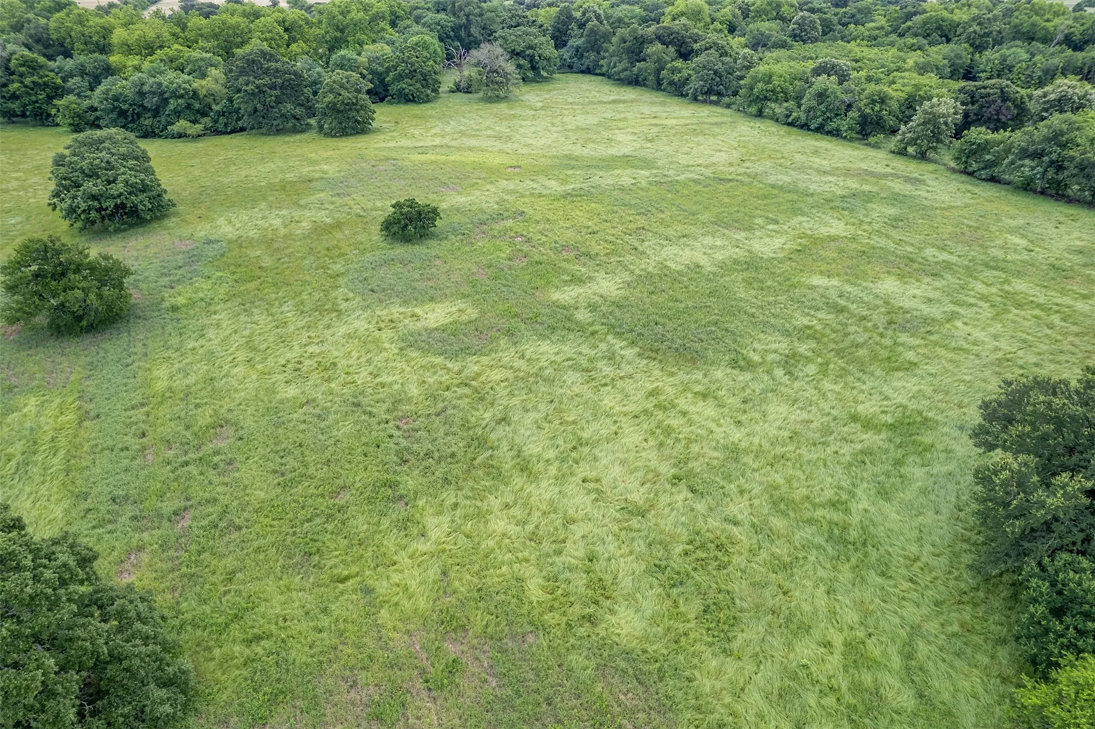 Unimproved Land For Sale in Hunt County , 5286 County Road 4502, Wolfe City, Texas 75496, 0, 0, Garage spaces, 0 Sqft, built in 0, Price $1,165,000, mls#21268039, Real Estate Agent in Wolfe City, Homes For Sale in Hunt county, Homes For Sale in Wolfe City, Realtor in Wolfe City Texas, Real Estate Brokerage Independent Realty Texas, Luminita Cordes Realtor