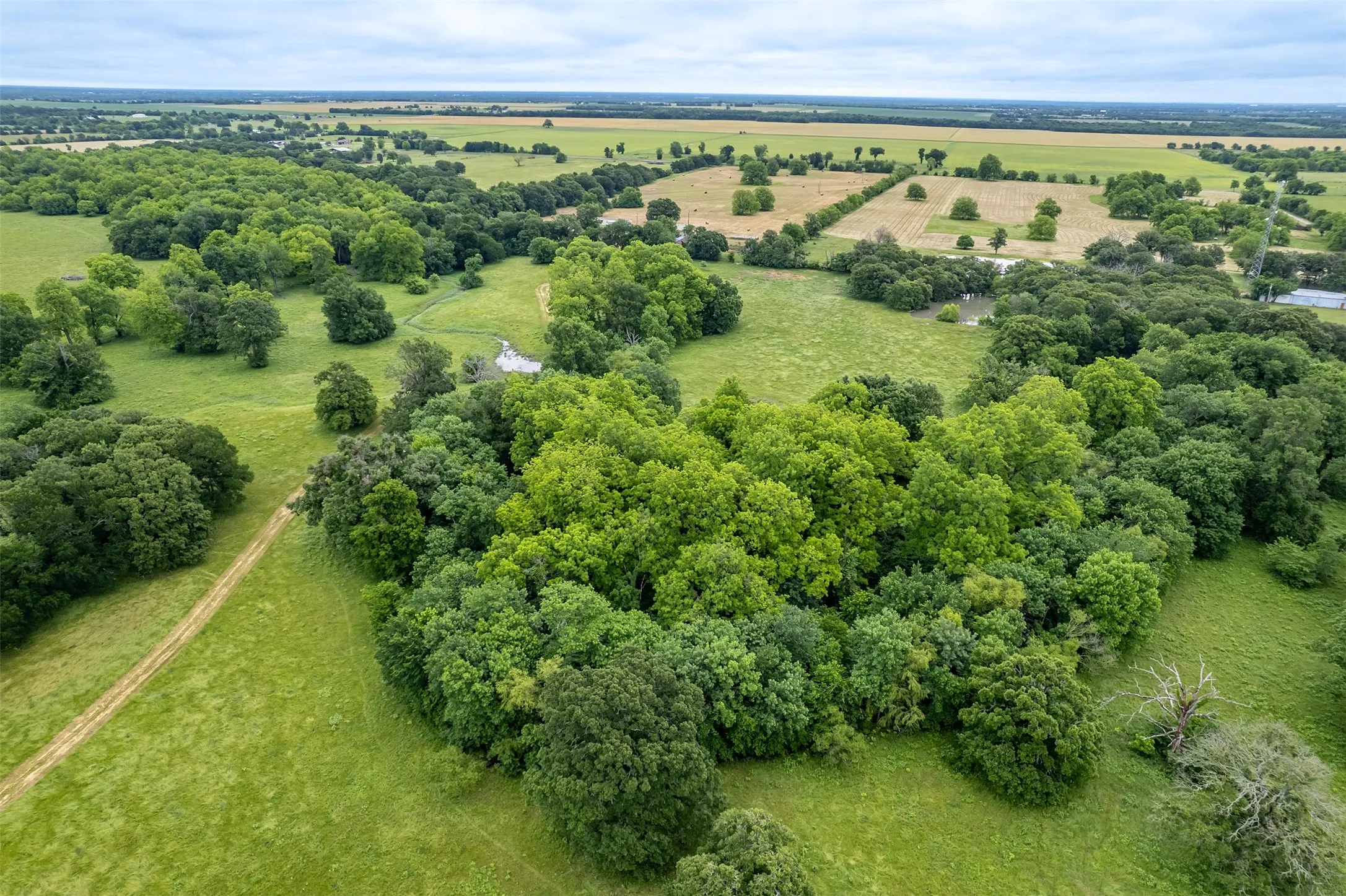 Unimproved Land For Sale in Hunt County , 5286 County Road 4502, Wolfe City, Texas 75496, 0, 0, Garage spaces, 0 Sqft, built in 0, Price $1,165,000, mls#21268039, Real Estate Agent in Wolfe City, Homes For Sale in Hunt county, Homes For Sale in Wolfe City, Realtor in Wolfe City Texas, Real Estate Brokerage Independent Realty Texas, Luminita Cordes Realtor