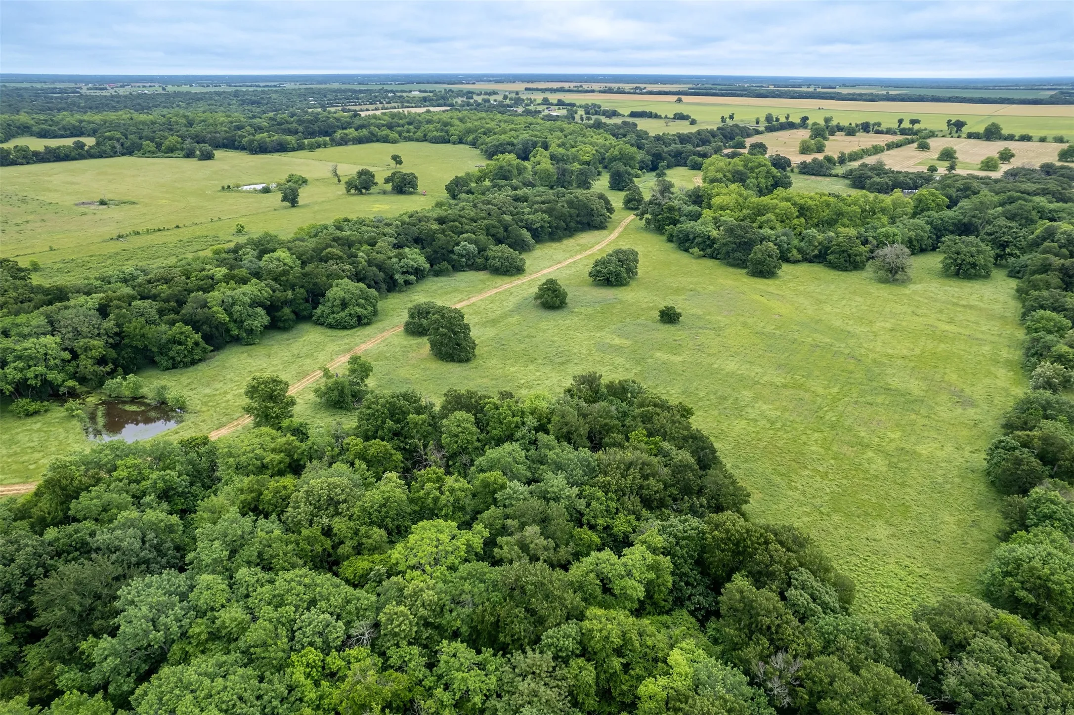 Unimproved Land For Sale in Hunt County , 5286 County Road 4502, Wolfe City, Texas 75496, 0, 0, Garage spaces, 0 Sqft, built in 0, Price $1,165,000, mls#21268039, Real Estate Agent in Wolfe City, Homes For Sale in Hunt county, Homes For Sale in Wolfe City, Realtor in Wolfe City Texas, Real Estate Brokerage Independent Realty Texas, Luminita Cordes Realtor