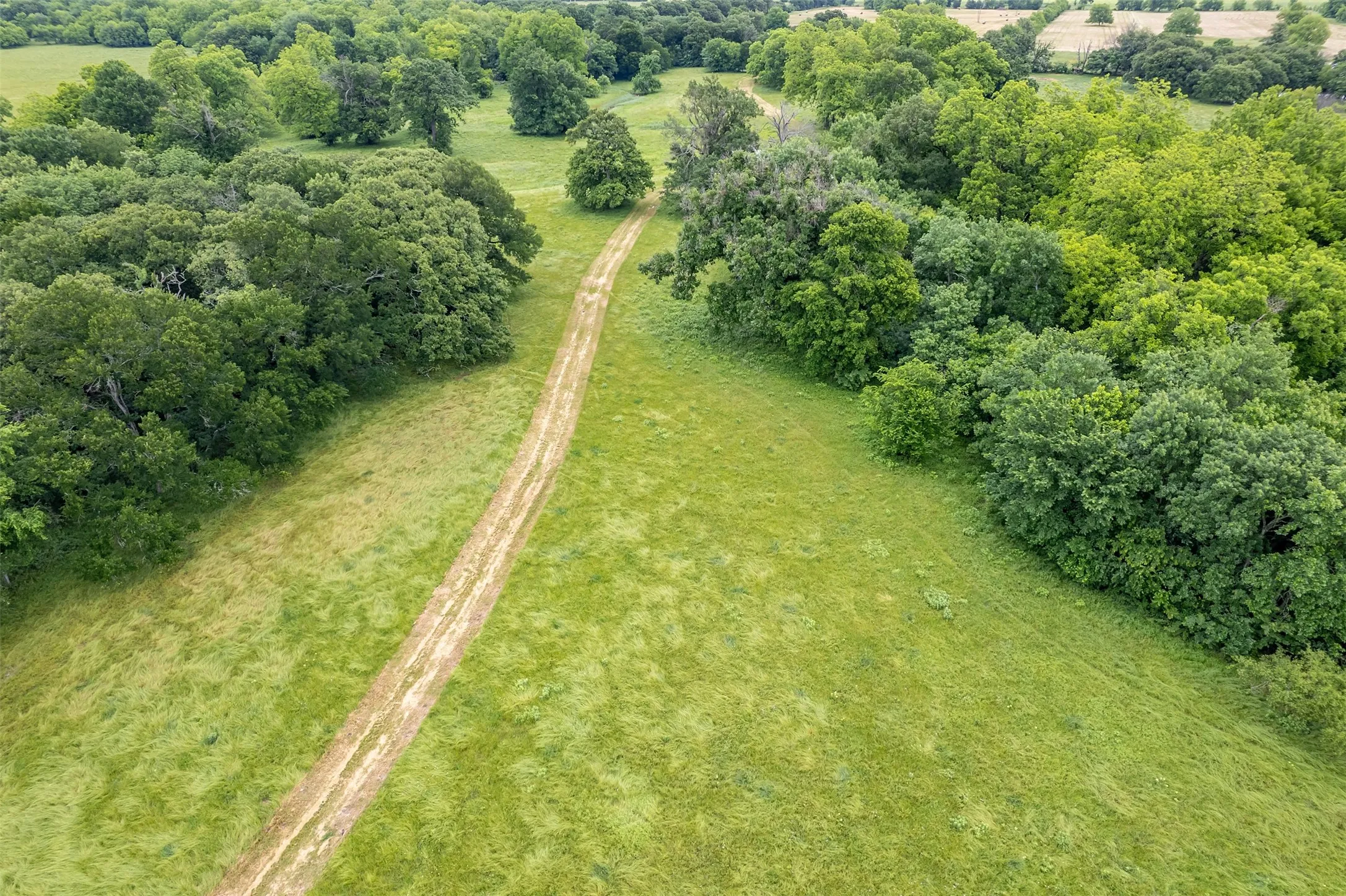 Unimproved Land For Sale in Hunt County , 5286 County Road 4502, Wolfe City, Texas 75496, 0, 0, Garage spaces, 0 Sqft, built in 0, Price $1,165,000, mls#21268039, Real Estate Agent in Wolfe City, Homes For Sale in Hunt county, Homes For Sale in Wolfe City, Realtor in Wolfe City Texas, Real Estate Brokerage Independent Realty Texas, Luminita Cordes Realtor
