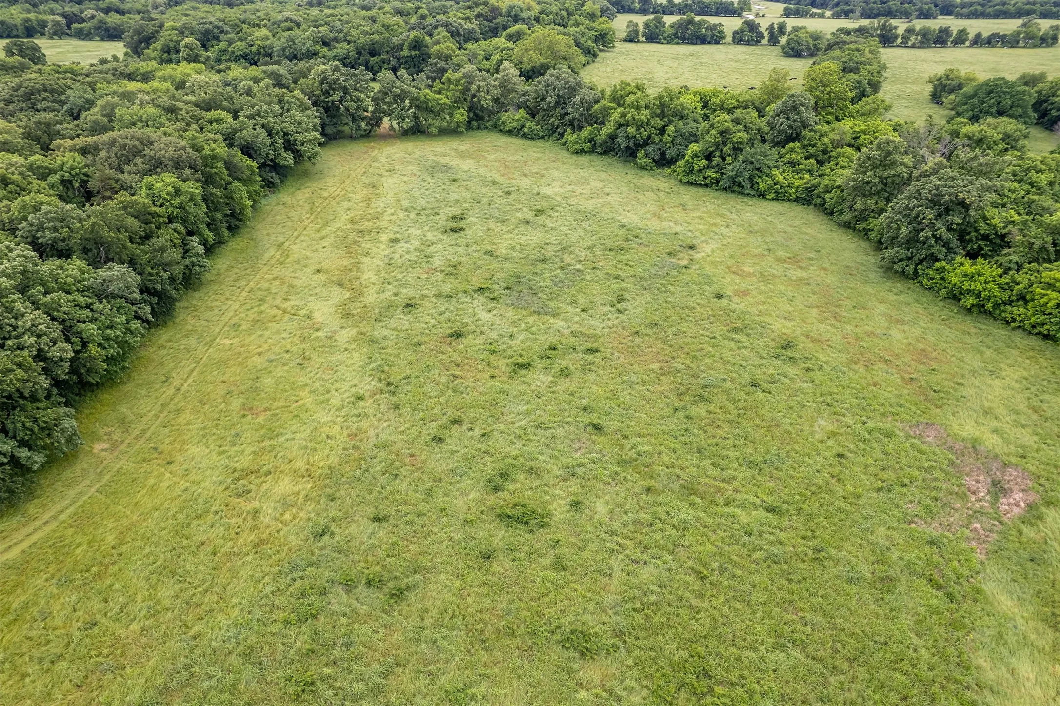 Unimproved Land For Sale in Hunt County , 5286 County Road 4502, Wolfe City, Texas 75496, 0, 0, Garage spaces, 0 Sqft, built in 0, Price $1,165,000, mls#21268039, Real Estate Agent in Wolfe City, Homes For Sale in Hunt county, Homes For Sale in Wolfe City, Realtor in Wolfe City Texas, Real Estate Brokerage Independent Realty Texas, Luminita Cordes Realtor