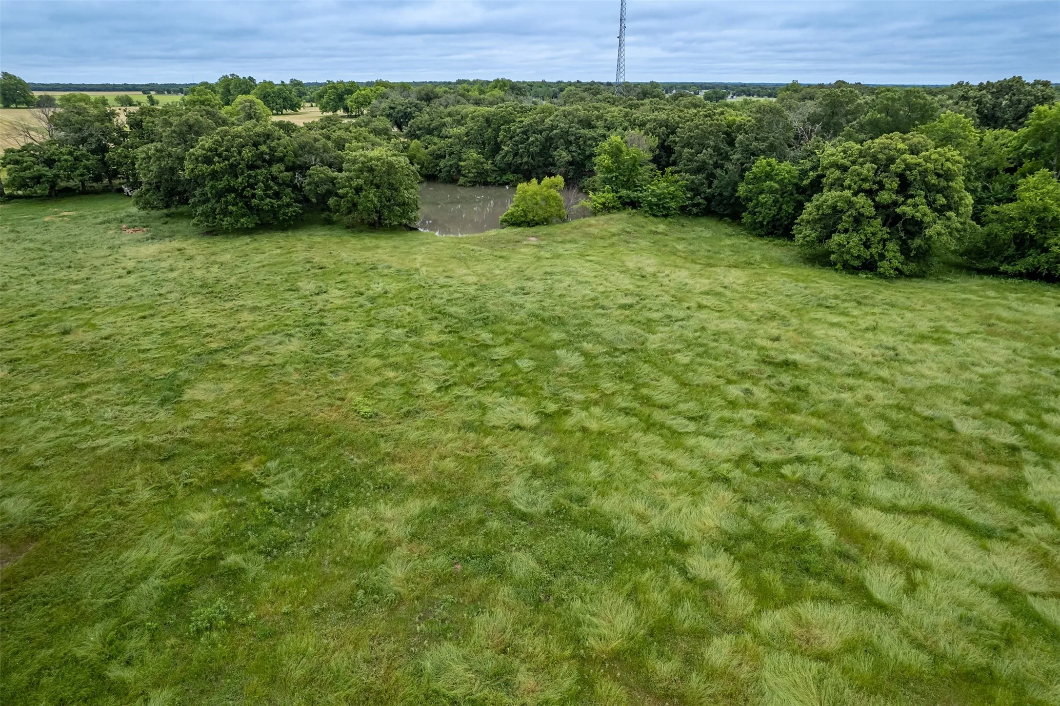Unimproved Land For Sale in Hunt County , 5286 County Road 4502, Wolfe City, Texas 75496, 0, 0, Garage spaces, 0 Sqft, built in 0, Price $1,165,000, mls#21268039, Real Estate Agent in Wolfe City, Homes For Sale in Hunt county, Homes For Sale in Wolfe City, Realtor in Wolfe City Texas, Real Estate Brokerage Independent Realty Texas, Luminita Cordes Realtor