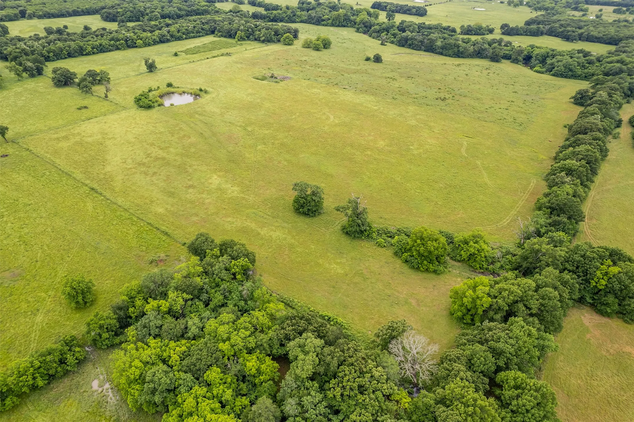 Unimproved Land For Sale in Hunt County , 5286 County Road 4502, Wolfe City, Texas 75496, 0, 0, Garage spaces, 0 Sqft, built in 0, Price $1,165,000, mls#21268039, Real Estate Agent in Wolfe City, Homes For Sale in Hunt county, Homes For Sale in Wolfe City, Realtor in Wolfe City Texas, Real Estate Brokerage Independent Realty Texas, Luminita Cordes Realtor