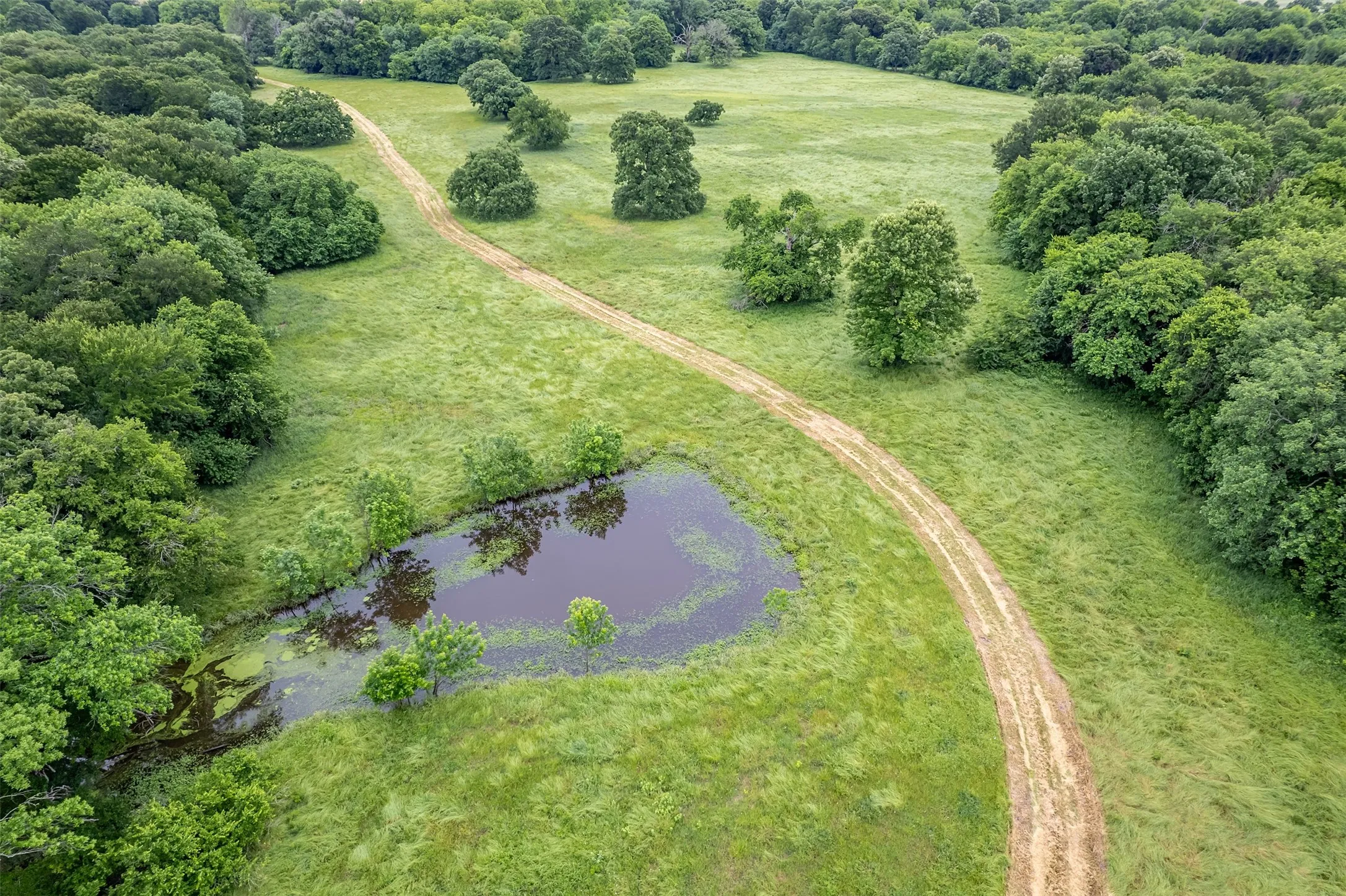 Unimproved Land For Sale in Hunt County , 5286 County Road 4502, Wolfe City, Texas 75496, 0, 0, Garage spaces, 0 Sqft, built in 0, Price $1,165,000, mls#21268039, Real Estate Agent in Wolfe City, Homes For Sale in Hunt county, Homes For Sale in Wolfe City, Realtor in Wolfe City Texas, Real Estate Brokerage Independent Realty Texas, Luminita Cordes Realtor