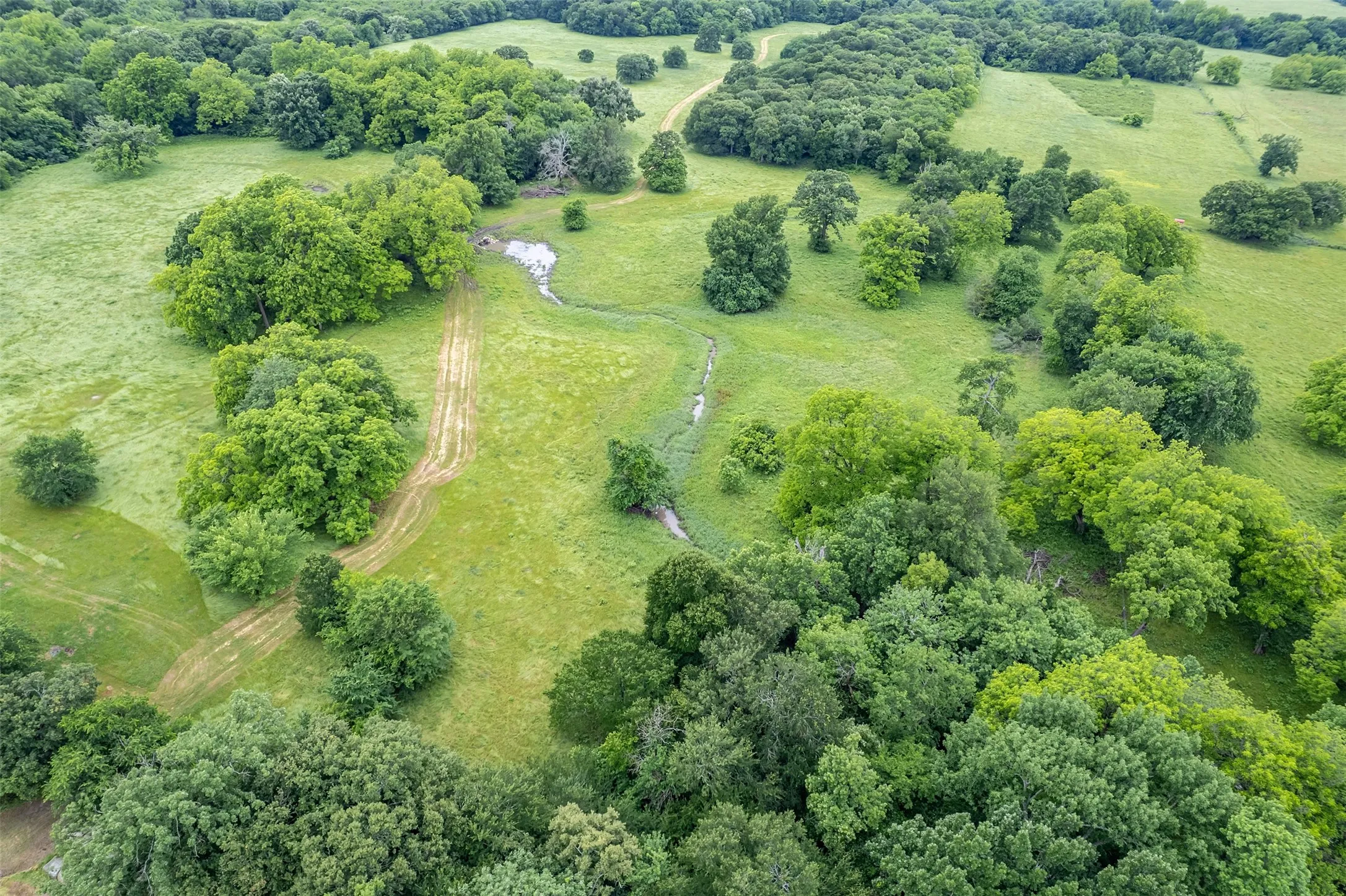Unimproved Land For Sale in Hunt County , 5286 County Road 4502, Wolfe City, Texas 75496, 0, 0, Garage spaces, 0 Sqft, built in 0, Price $1,165,000, mls#21268039, Real Estate Agent in Wolfe City, Homes For Sale in Hunt county, Homes For Sale in Wolfe City, Realtor in Wolfe City Texas, Real Estate Brokerage Independent Realty Texas, Luminita Cordes Realtor