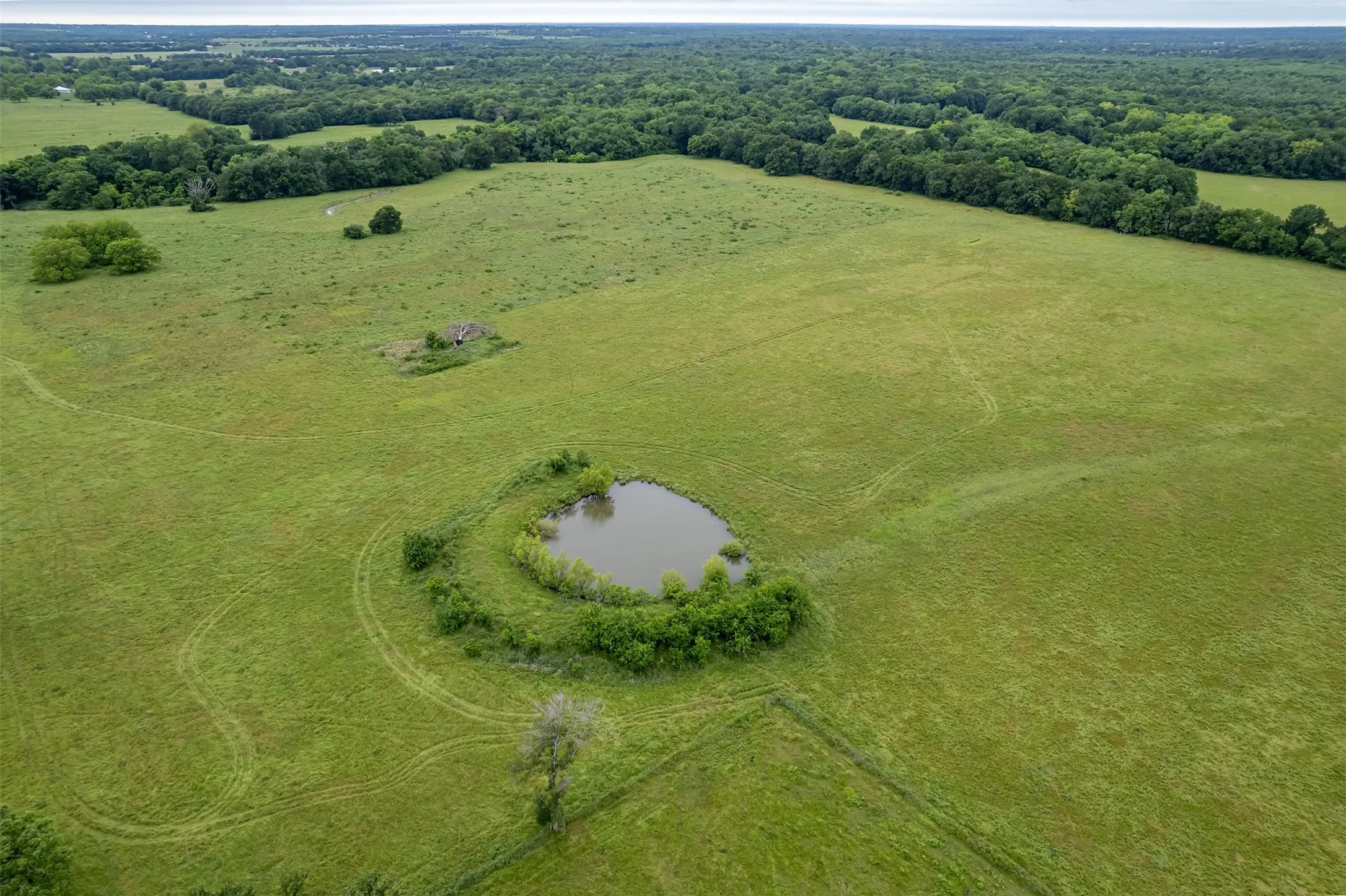 Unimproved Land For Sale in Hunt County , 5286 County Road 4502, Wolfe City, Texas 75496, 0, 0, Garage spaces, 0 Sqft, built in 0, Price $1,165,000, mls#21268039, Real Estate Agent in Wolfe City, Homes For Sale in Hunt county, Homes For Sale in Wolfe City, Realtor in Wolfe City Texas, Real Estate Brokerage Independent Realty Texas, Luminita Cordes Realtor