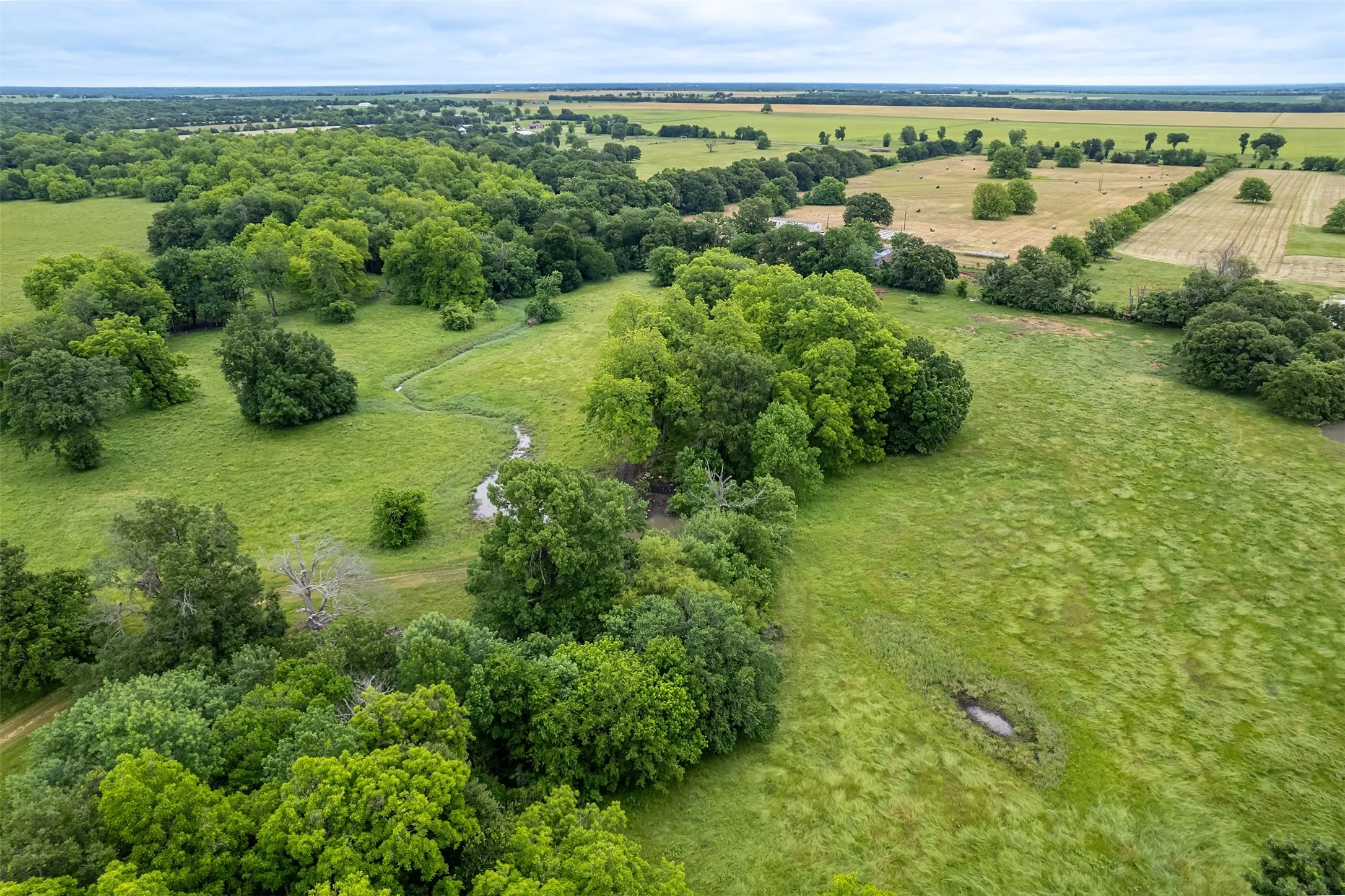 Unimproved Land For Sale in Hunt County , 5286 County Road 4502, Wolfe City, Texas 75496, 0, 0, Garage spaces, 0 Sqft, built in 0, Price $1,165,000, mls#21268039, Real Estate Agent in Wolfe City, Homes For Sale in Hunt county, Homes For Sale in Wolfe City, Realtor in Wolfe City Texas, Real Estate Brokerage Independent Realty Texas, Luminita Cordes Realtor