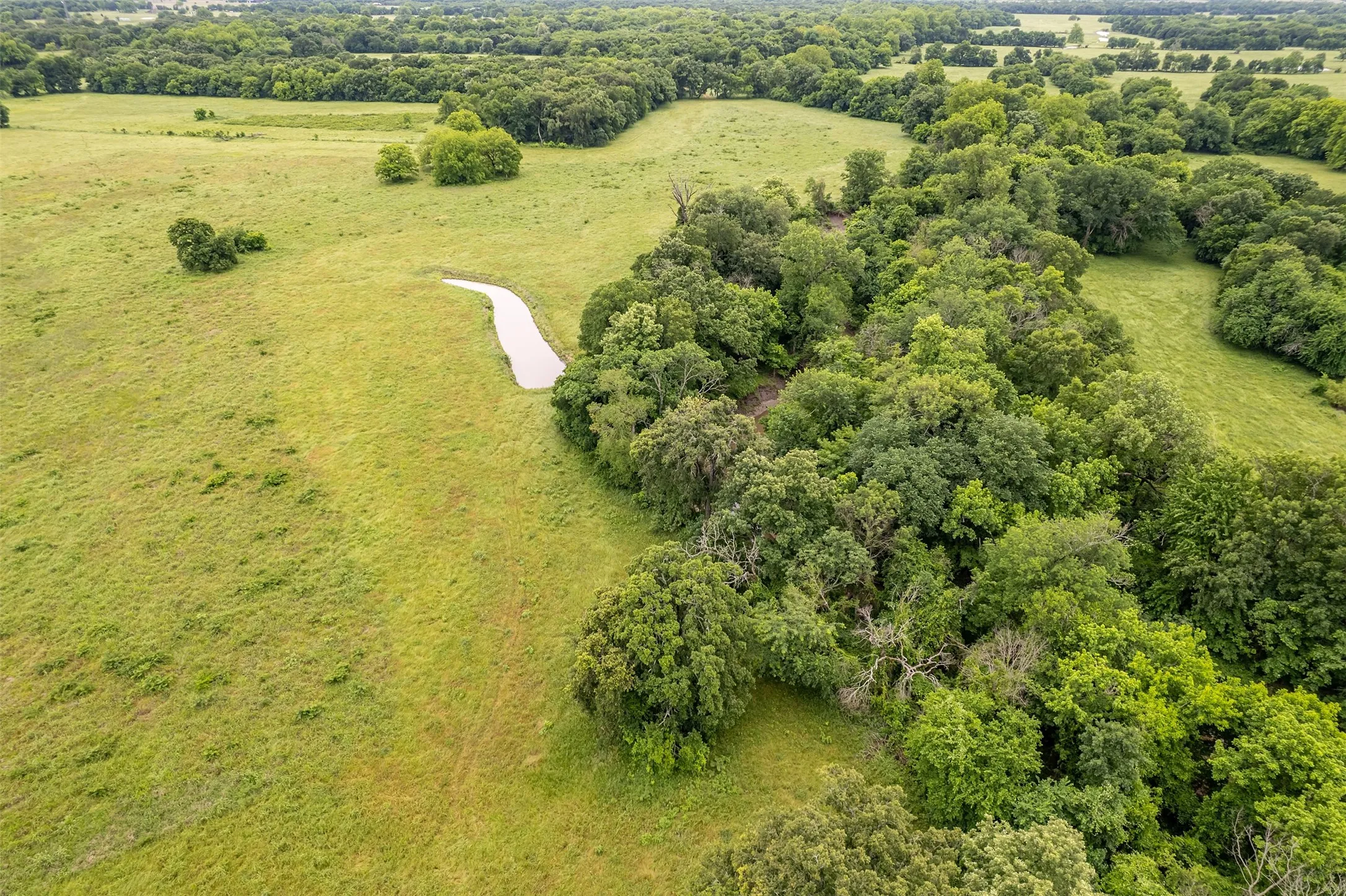 Unimproved Land For Sale in Hunt County , 5286 County Road 4502, Wolfe City, Texas 75496, 0, 0, Garage spaces, 0 Sqft, built in 0, Price $1,165,000, mls#21268039, Real Estate Agent in Wolfe City, Homes For Sale in Hunt county, Homes For Sale in Wolfe City, Realtor in Wolfe City Texas, Real Estate Brokerage Independent Realty Texas, Luminita Cordes Realtor