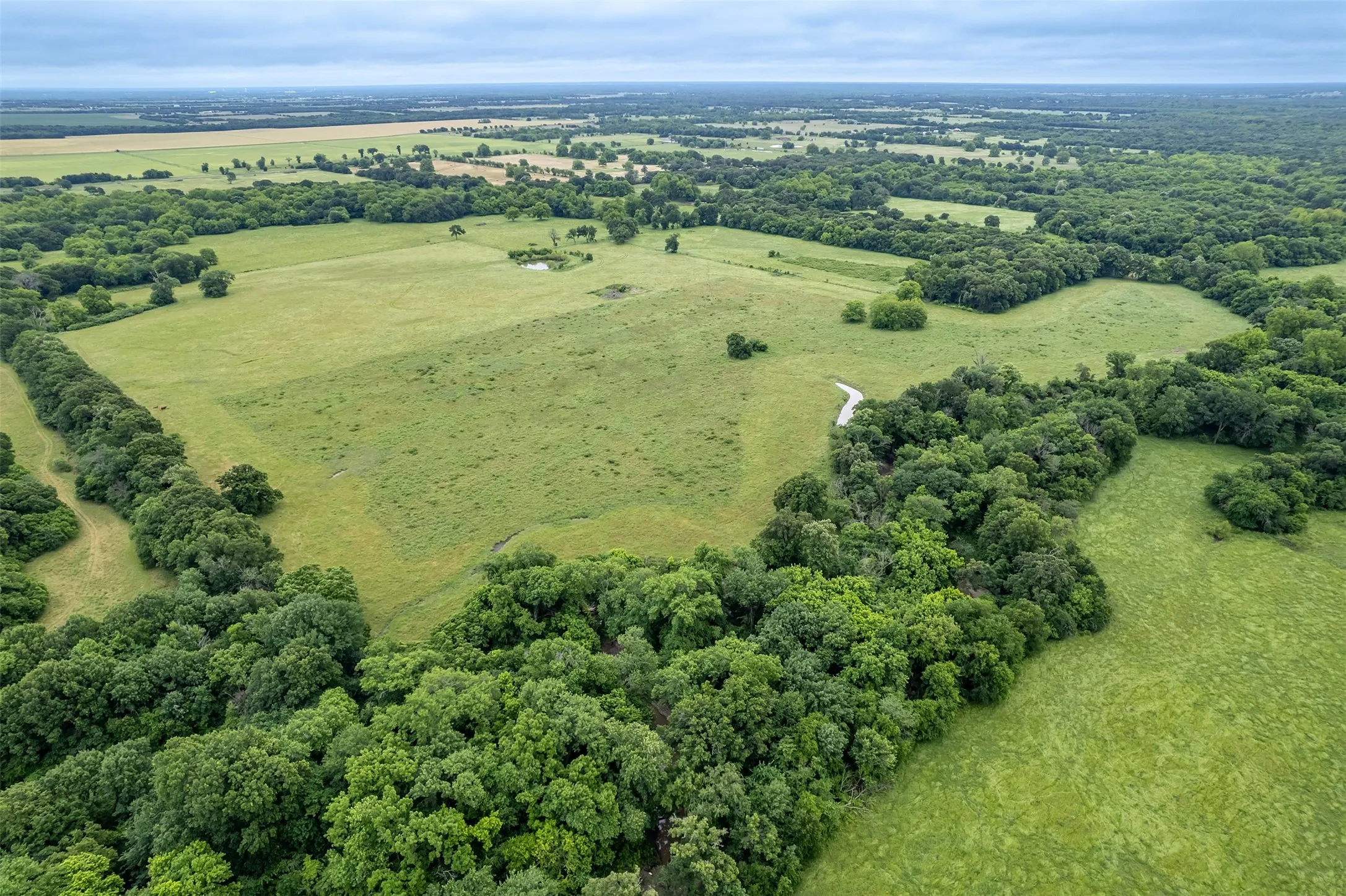 Unimproved Land For Sale in Hunt County , 5286 County Road 4502, Wolfe City, Texas 75496, 0, 0, Garage spaces, 0 Sqft, built in 0, Price $1,165,000, mls#21268039, Real Estate Agent in Wolfe City, Homes For Sale in Hunt county, Homes For Sale in Wolfe City, Realtor in Wolfe City Texas, Real Estate Brokerage Independent Realty Texas, Luminita Cordes Realtor