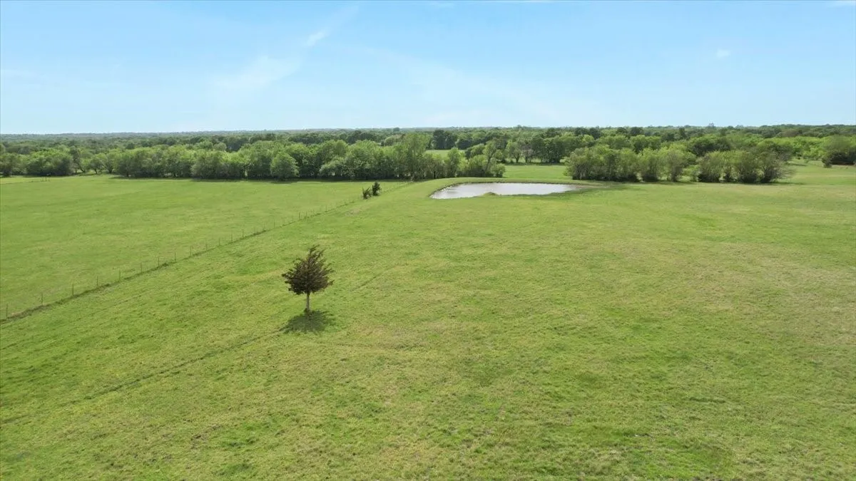 Improved Land For Sale in Grayson County , 099 EAST LINE, Whitewright, Texas 75491, 0, 0, Garage spaces, 0 Sqft, built in 0, mls#21271591, Real Estate Agent in Whitewright, Homes For Sale in Grayson county, Homes For Sale in Whitewright, Realtor in Whitewright Texas, Real Estate Brokerage Independent Realty Texas, Luminita Cordes Realtor